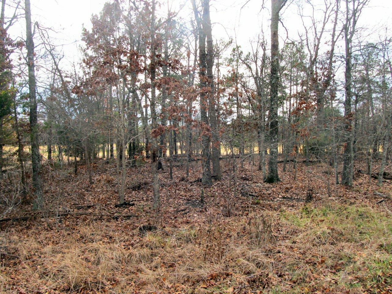 Vacant Land for sale –   Tampa   Cherokee Village, AR