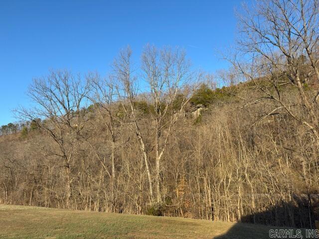 Photo 22 - Residential for sale – 195  Joe Baker   Batesville, AR