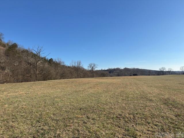 Photo 8 - Residential for sale – 195  Joe Baker   Batesville, AR