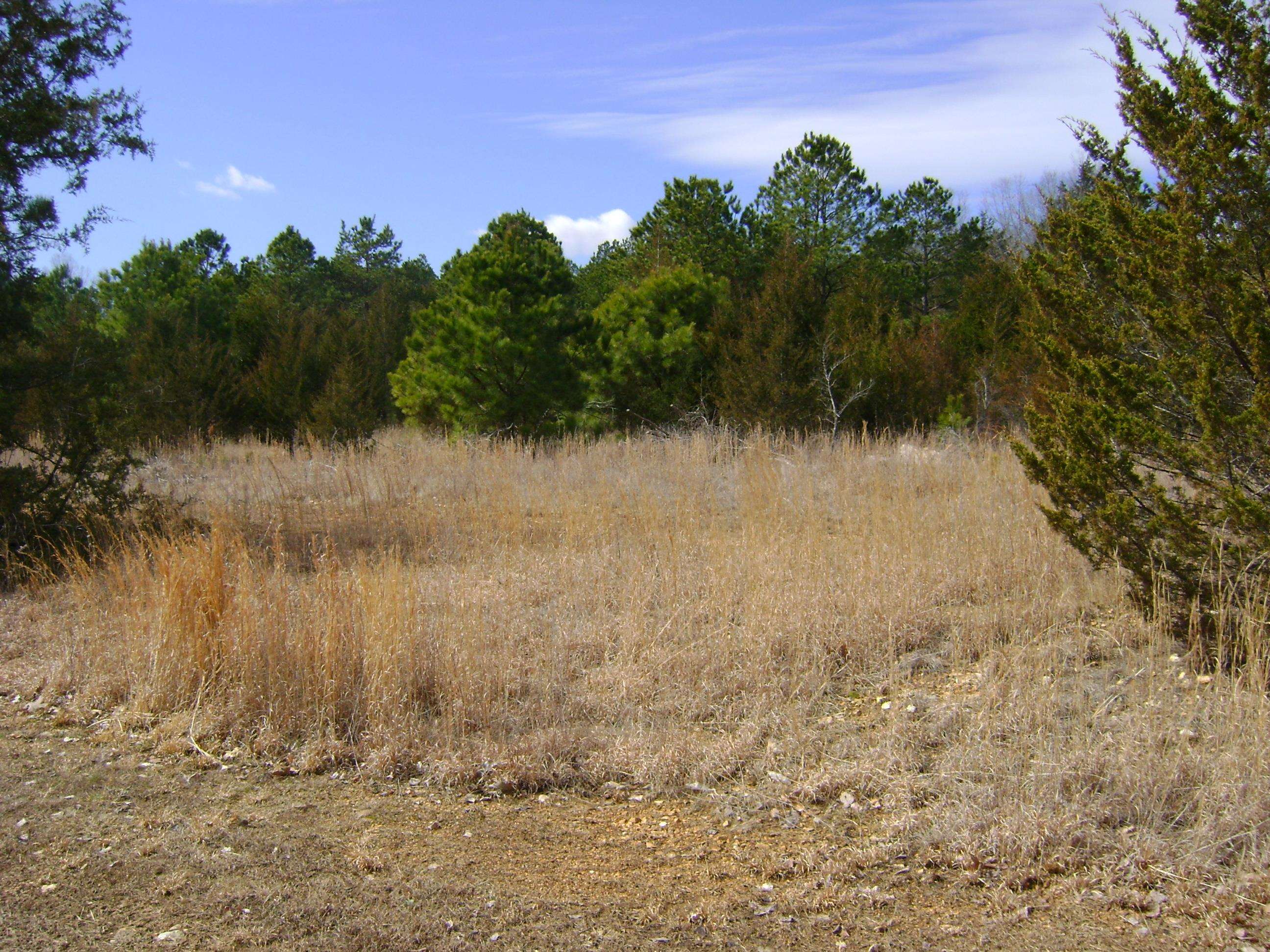 Photo 11 - Vacant Land for sale – 206 & 208  Wedge Road   Horseshoe Bend, AR