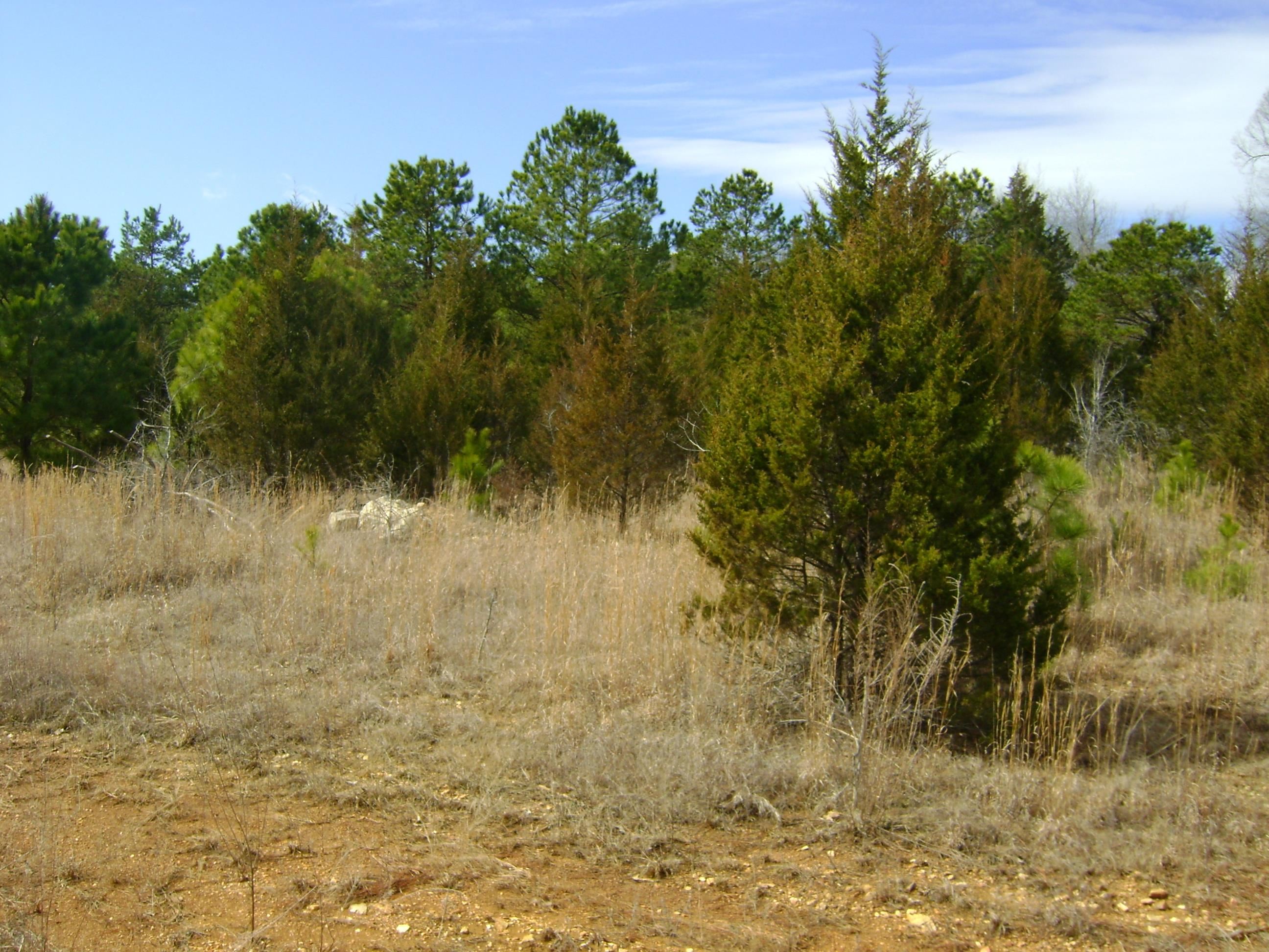 Photo 15 - Vacant Land for sale – 206 & 208  Wedge Road   Horseshoe Bend, AR