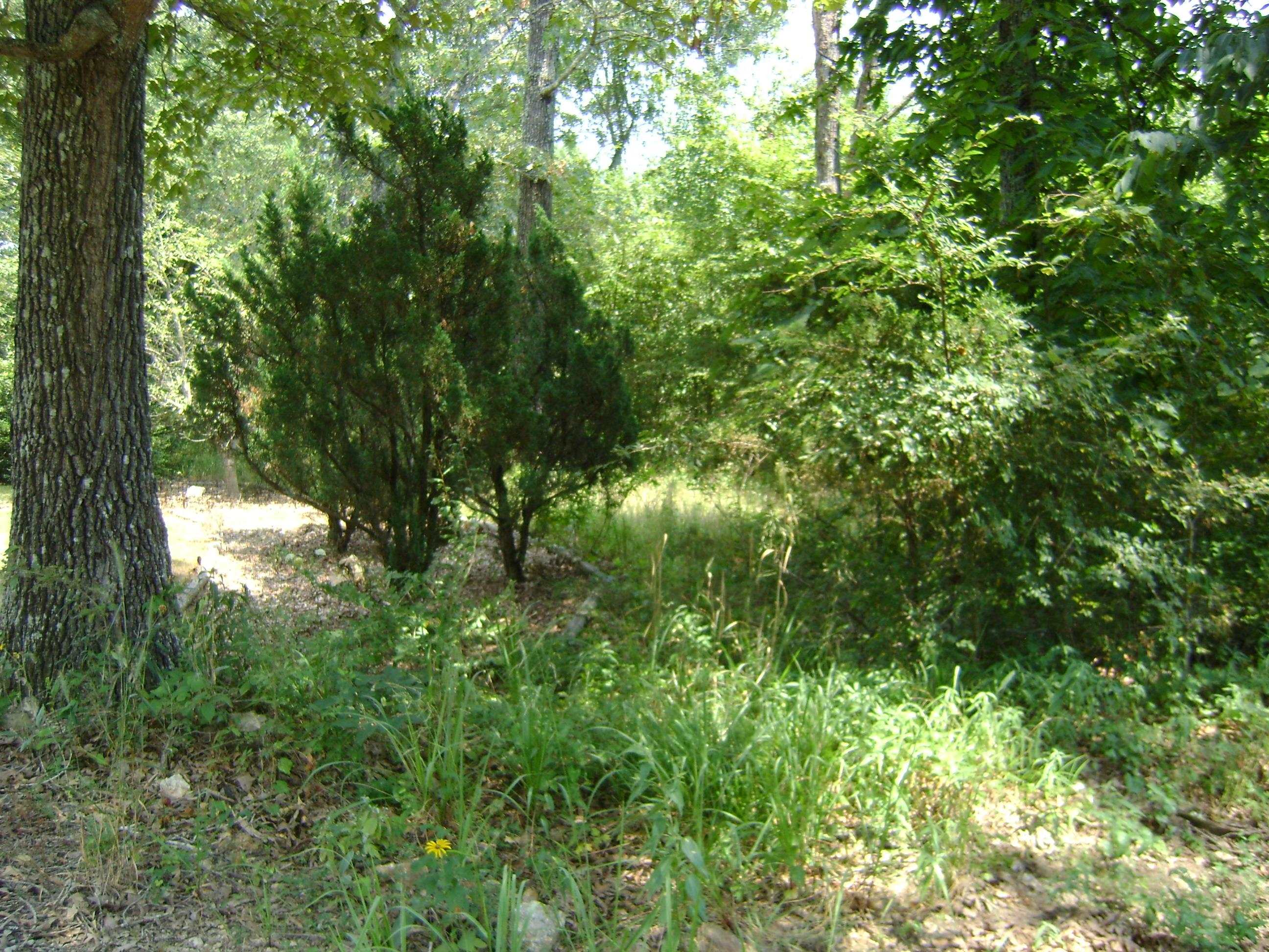 Photo 3 - Vacant Land for sale – 206 & 208  Wedge Road   Horseshoe Bend, AR