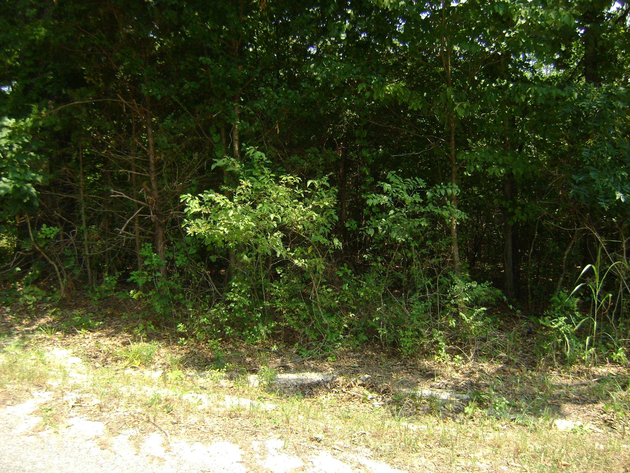 Photo 4 - Vacant Land for sale – 206 & 208  Wedge Road   Horseshoe Bend, AR