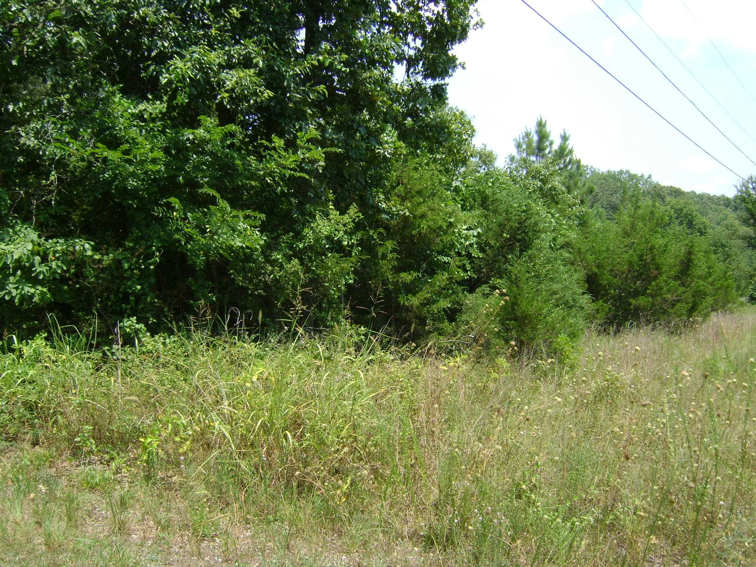 Photo 5 - Vacant Land for sale – 206 & 208  Wedge Road   Horseshoe Bend, AR