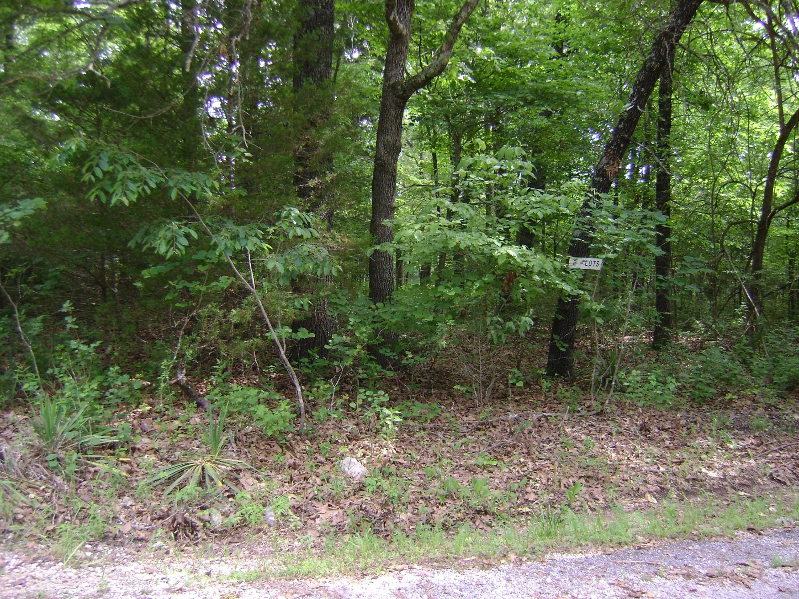 Photo 10 - Vacant Land for sale – 206 & 208  Wedge Road   Horseshoe Bend, AR
