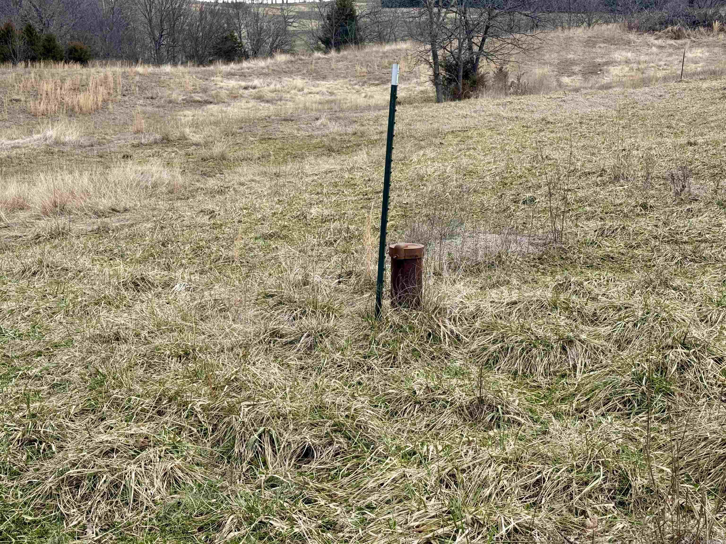Photo 2 - Vacant Land for sale – TBD  Cedar Park   Viola, AR