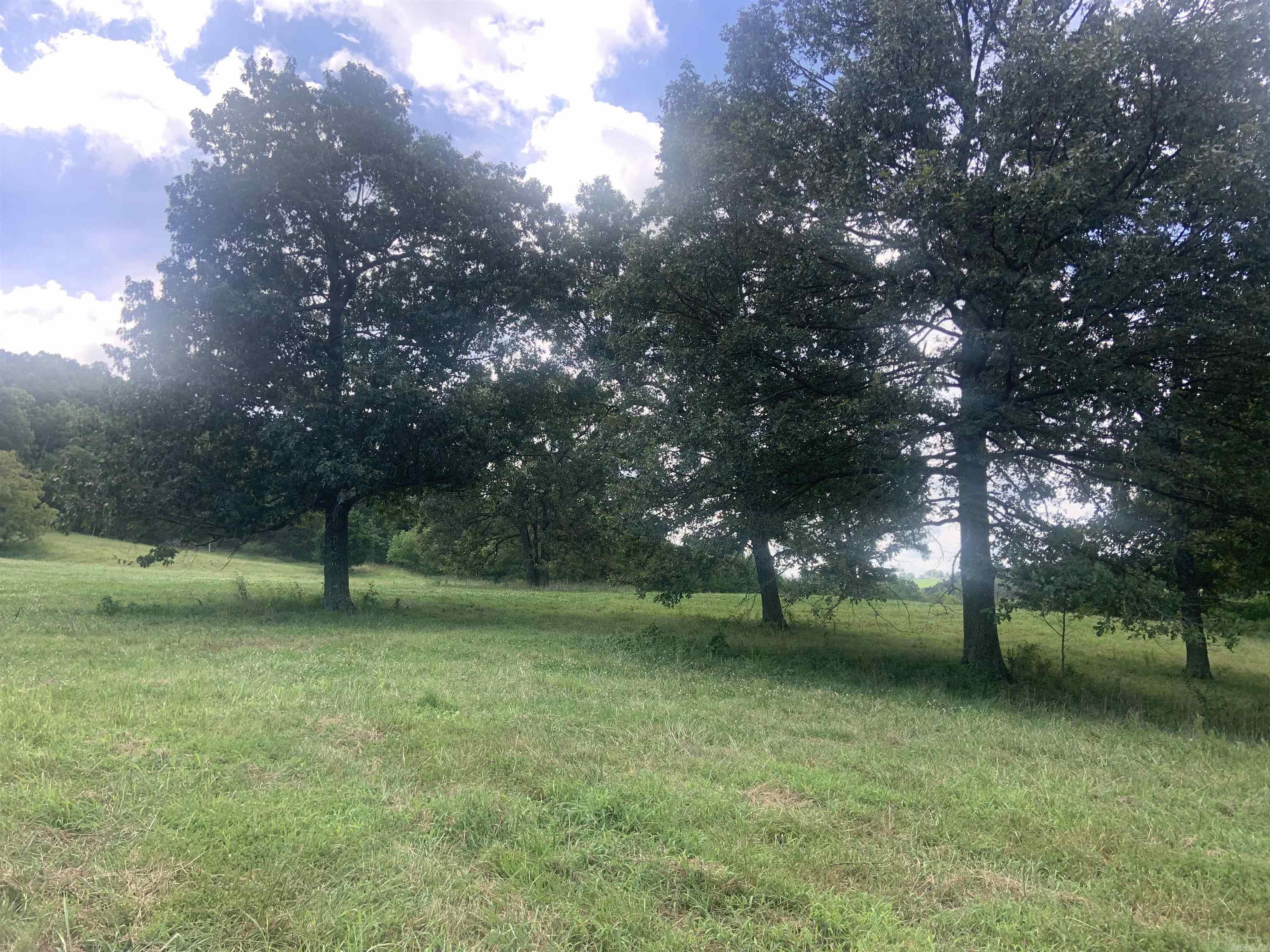 Photo 10 - Vacant Land for sale – TBD  Cedar Park   Viola, AR