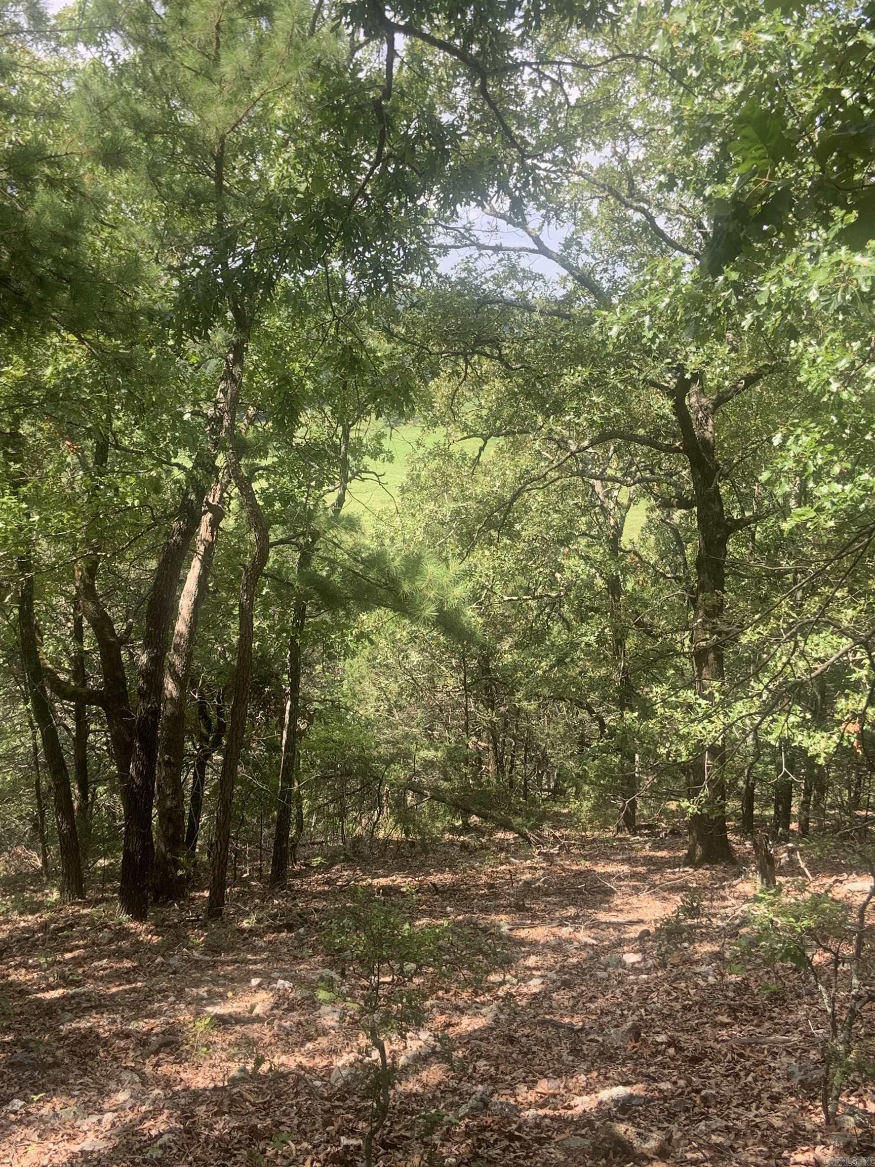 Photo 13 - Vacant Land for sale – TBD  Cedar Park   Viola, AR