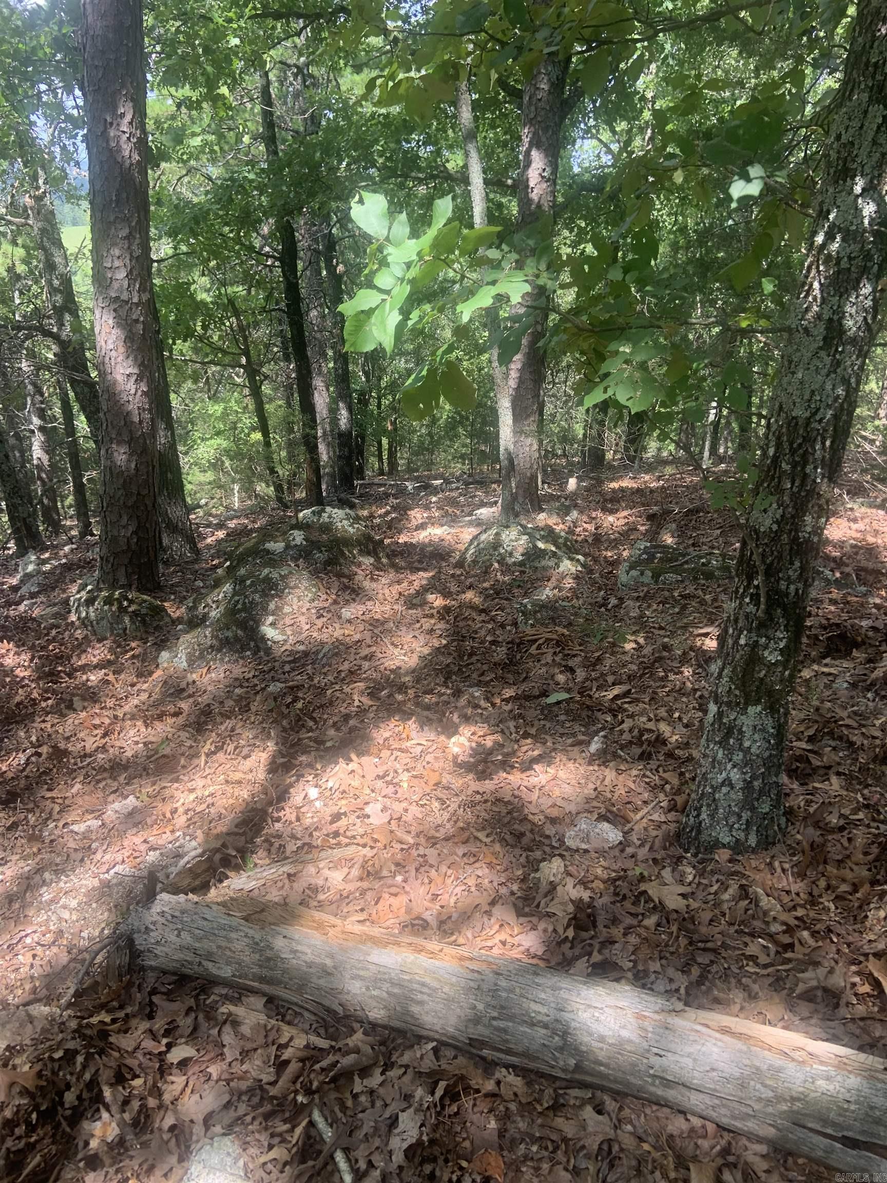 Photo 14 - Vacant Land for sale – TBD  Cedar Park   Viola, AR