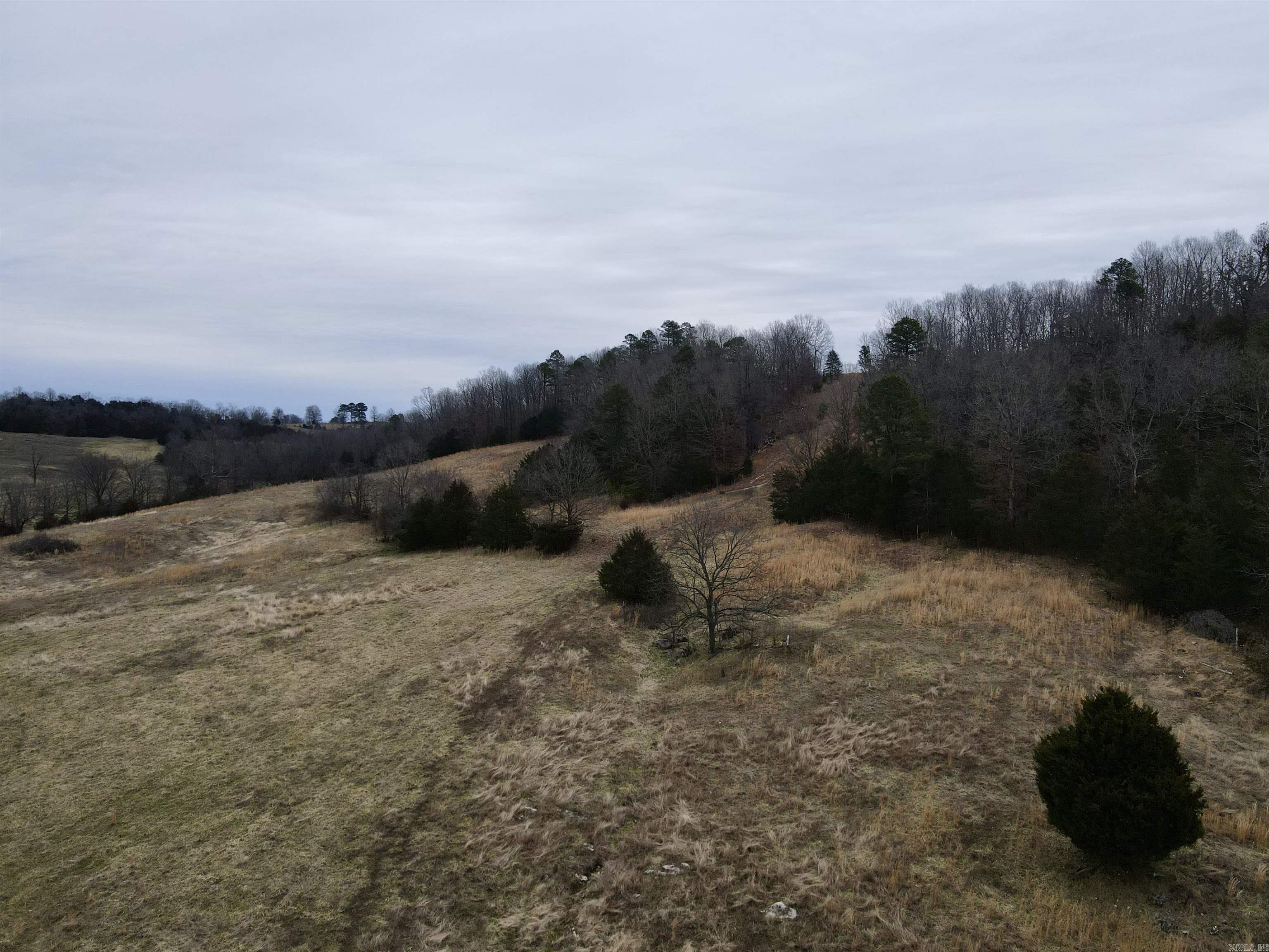 Photo 16 - Vacant Land for sale – TBD  Cedar Park   Viola, AR