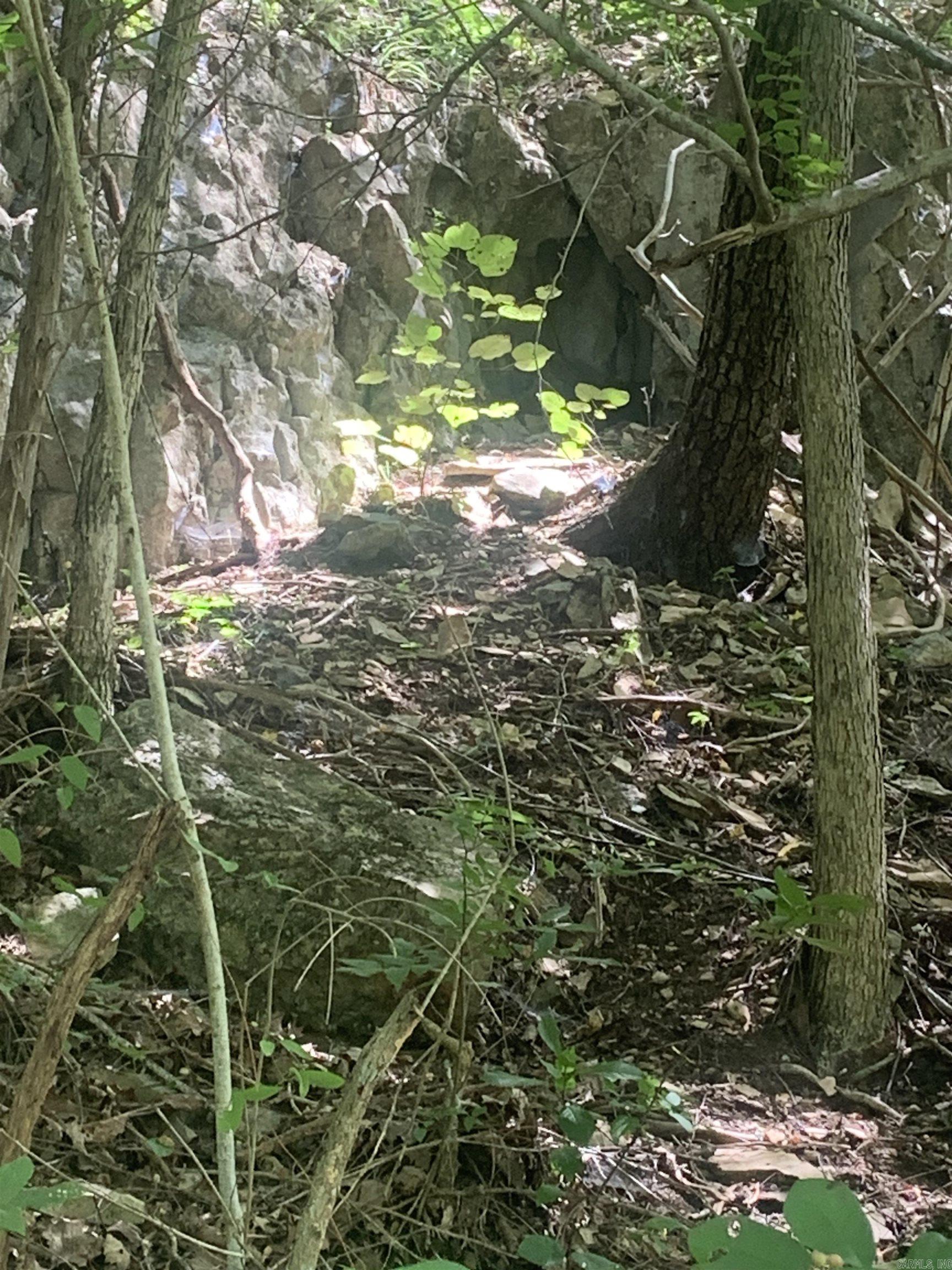 Photo 17 - Vacant Land for sale – TBD  Cedar Park   Viola, AR