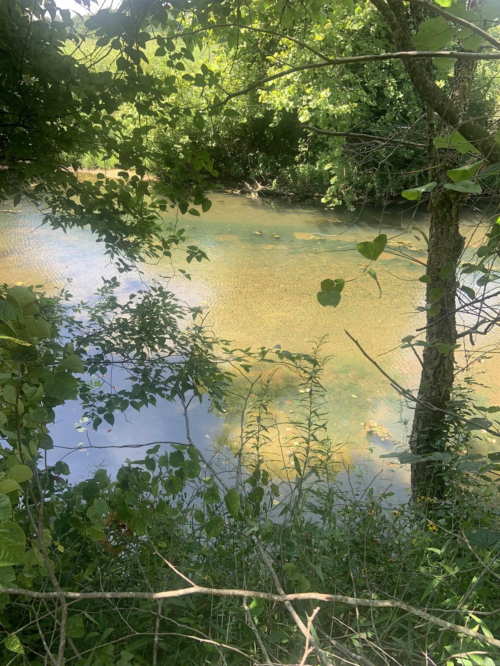 Photo 18 - Vacant Land for sale – TBD  Cedar Park   Viola, AR
