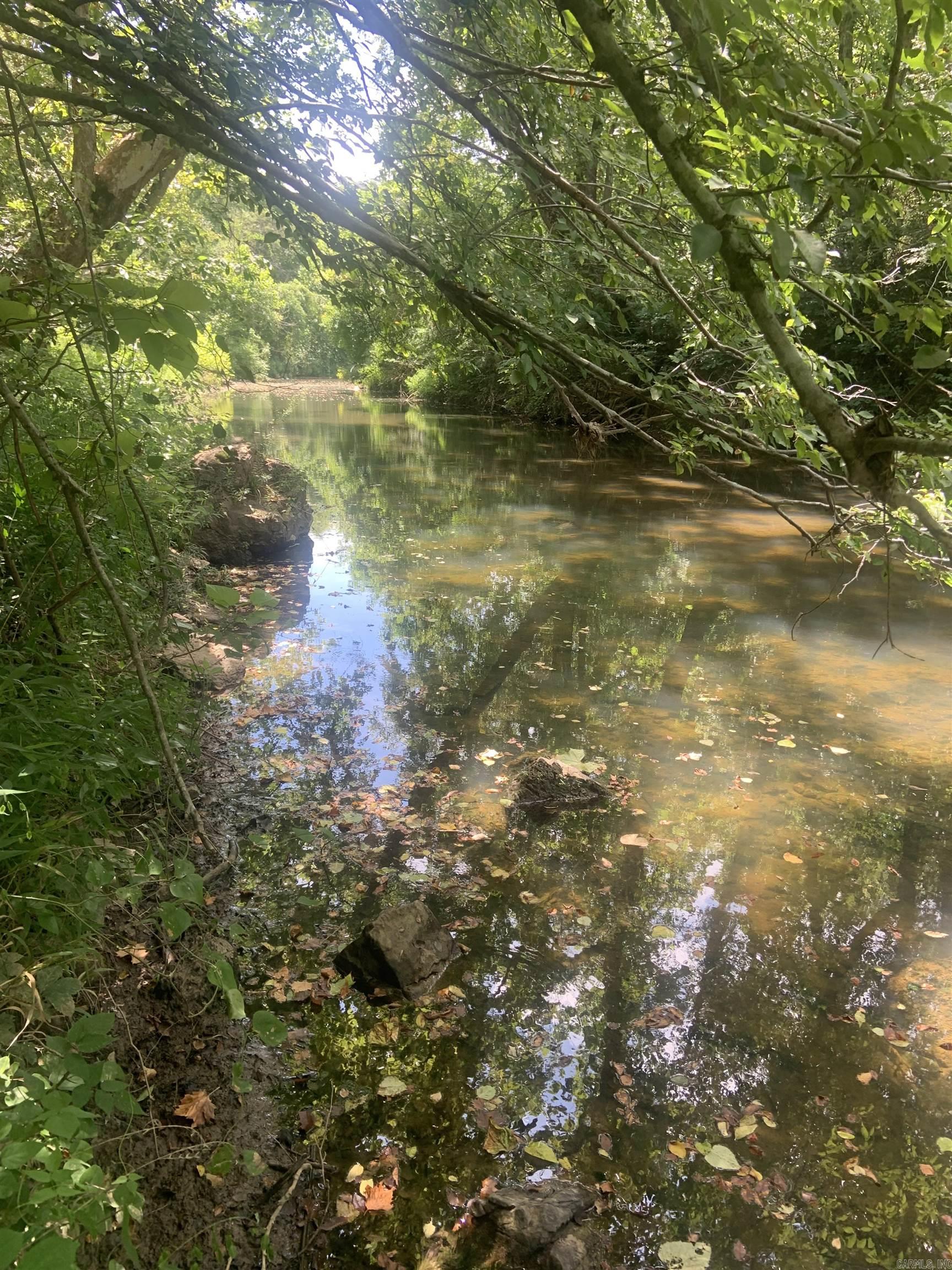 Photo 3 - Vacant Land for sale – TBD  Cedar Park   Viola, AR