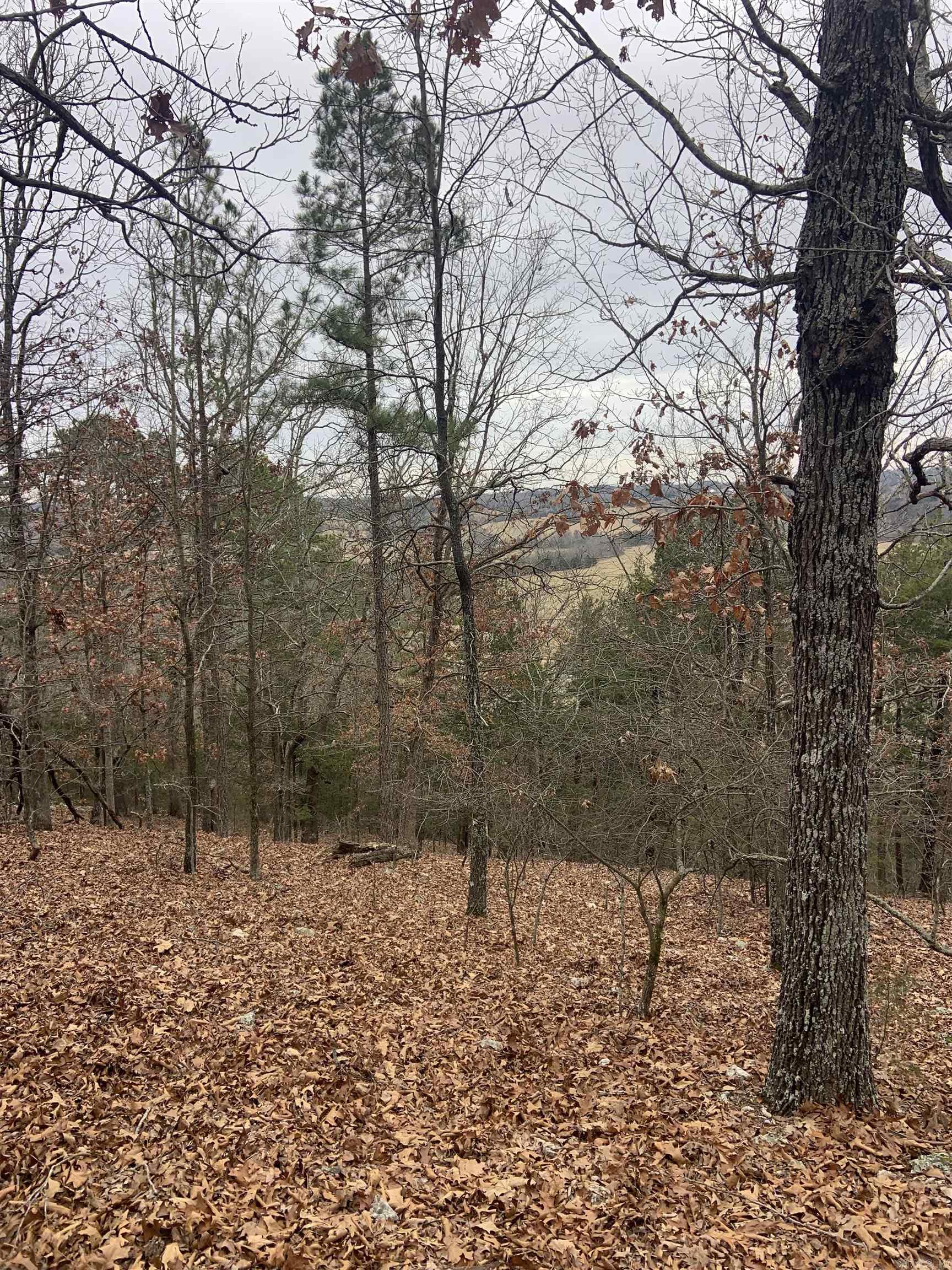 Photo 20 - Vacant Land for sale – TBD  Cedar Park   Viola, AR