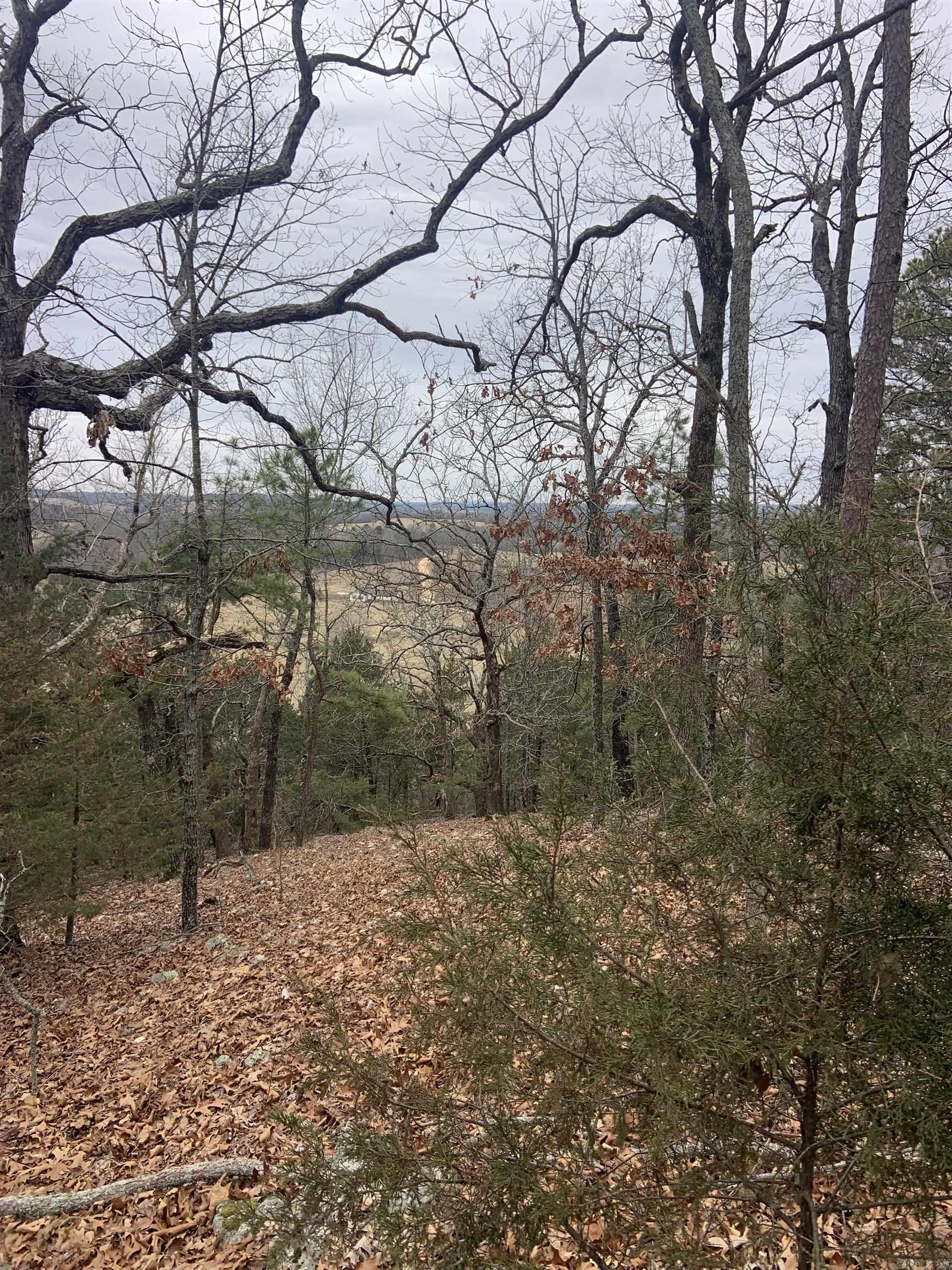 Photo 23 - Vacant Land for sale – TBD  Cedar Park   Viola, AR
