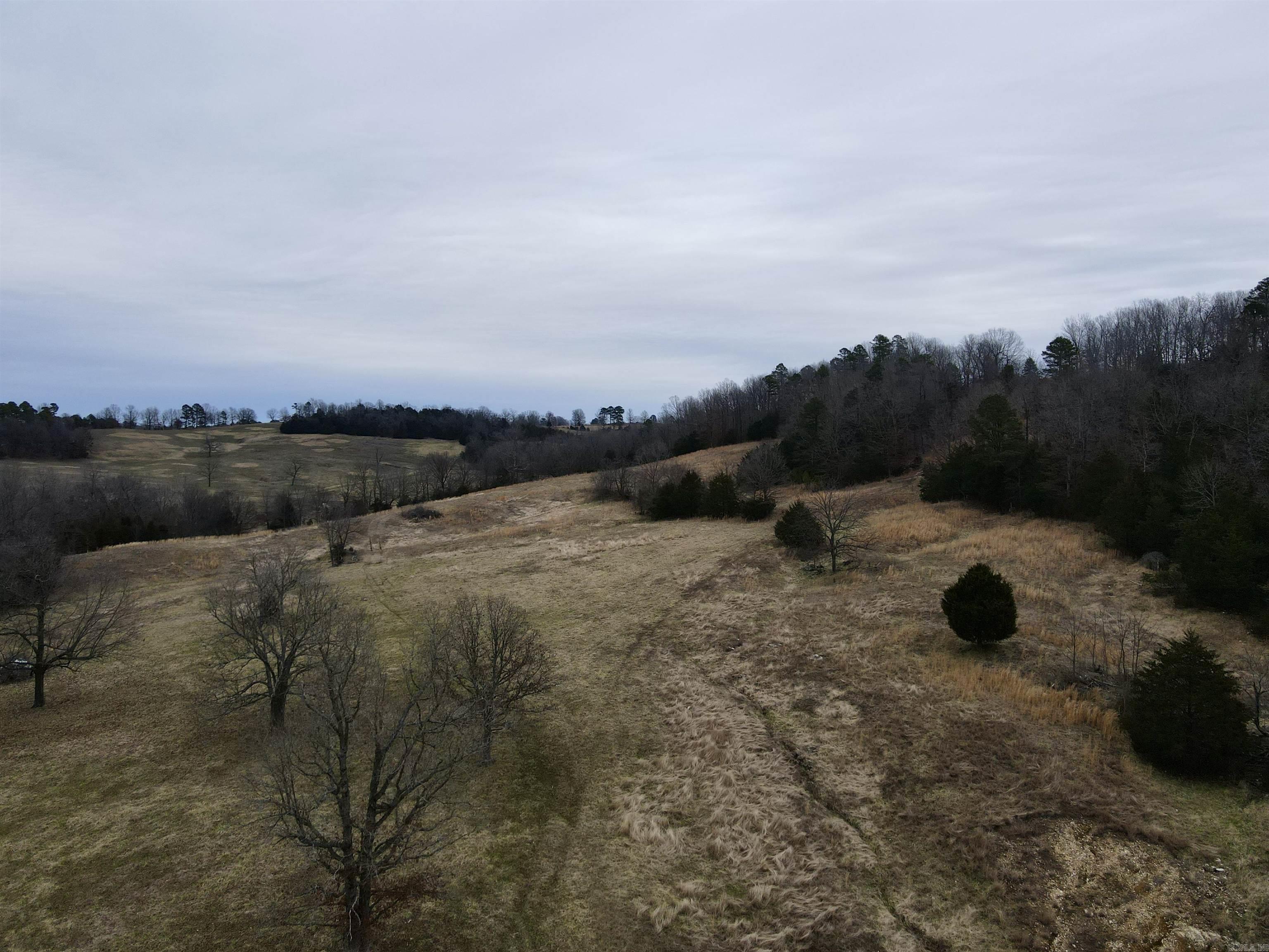 Photo 25 - Vacant Land for sale – TBD  Cedar Park   Viola, AR