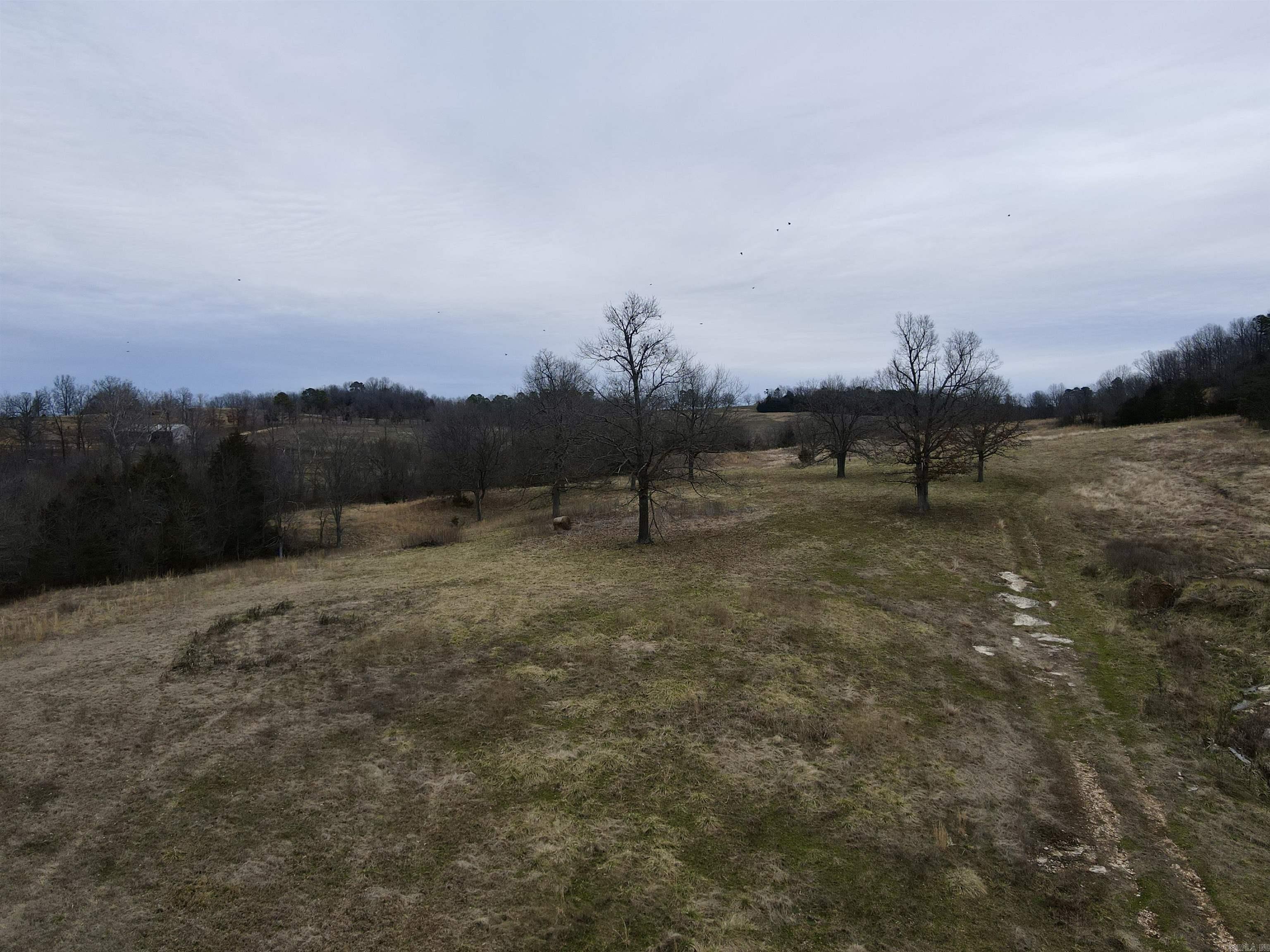Photo 32 - Vacant Land for sale – TBD  Cedar Park   Viola, AR