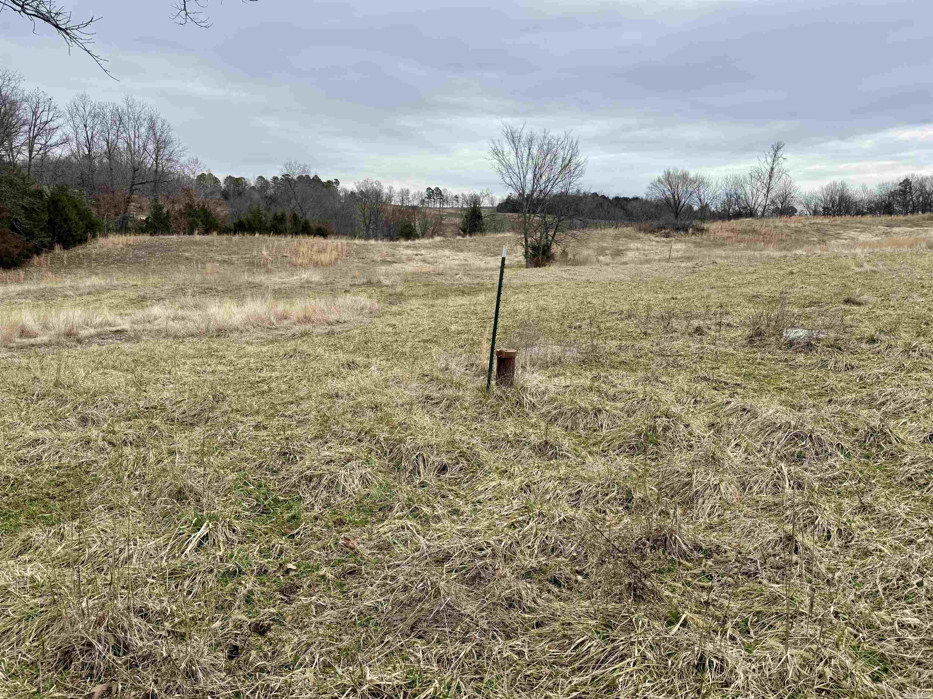 Photo 37 - Vacant Land for sale – TBD  Cedar Park   Viola, AR
