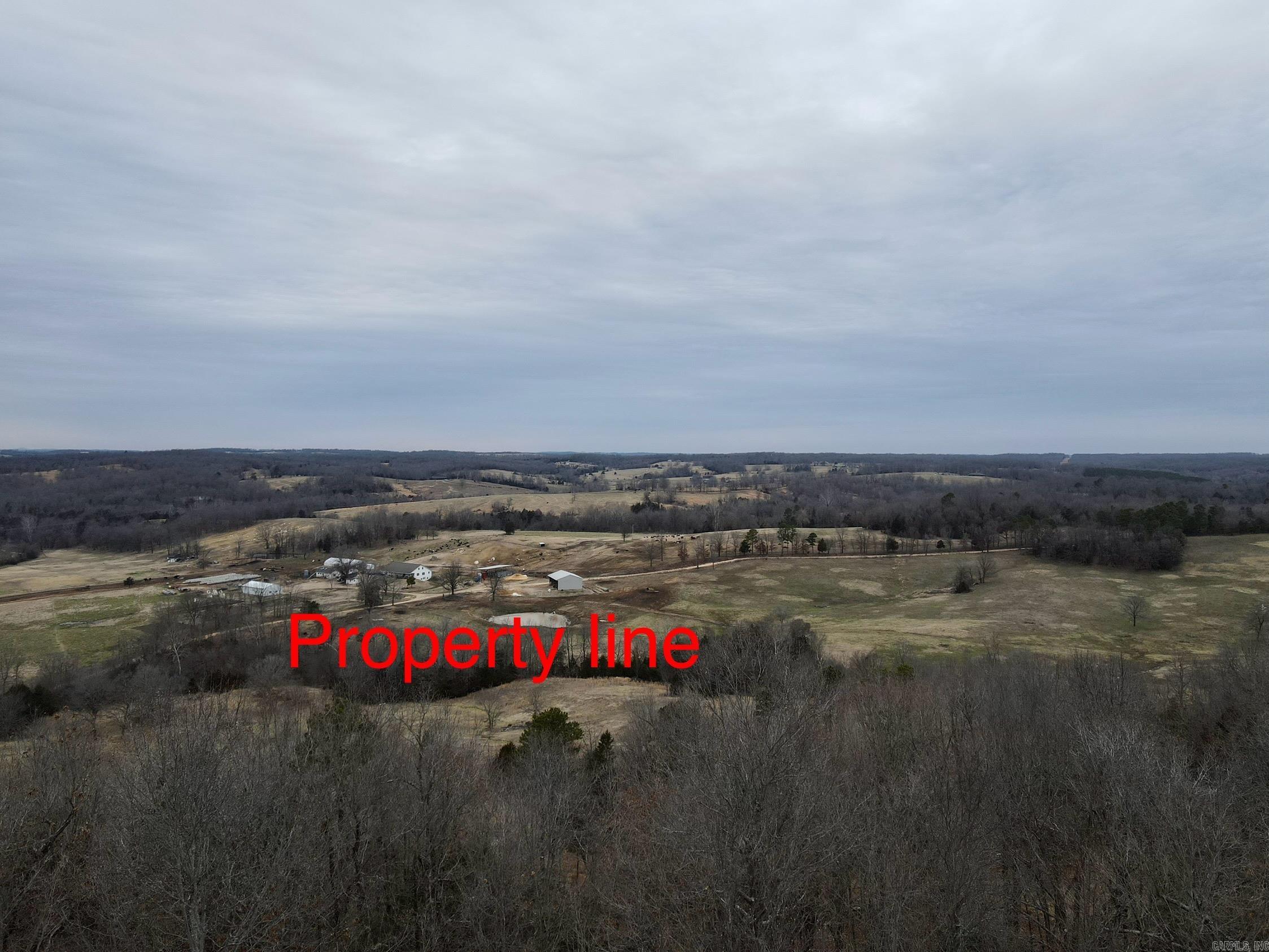 Photo 5 - Vacant Land for sale – TBD  Cedar Park   Viola, AR
