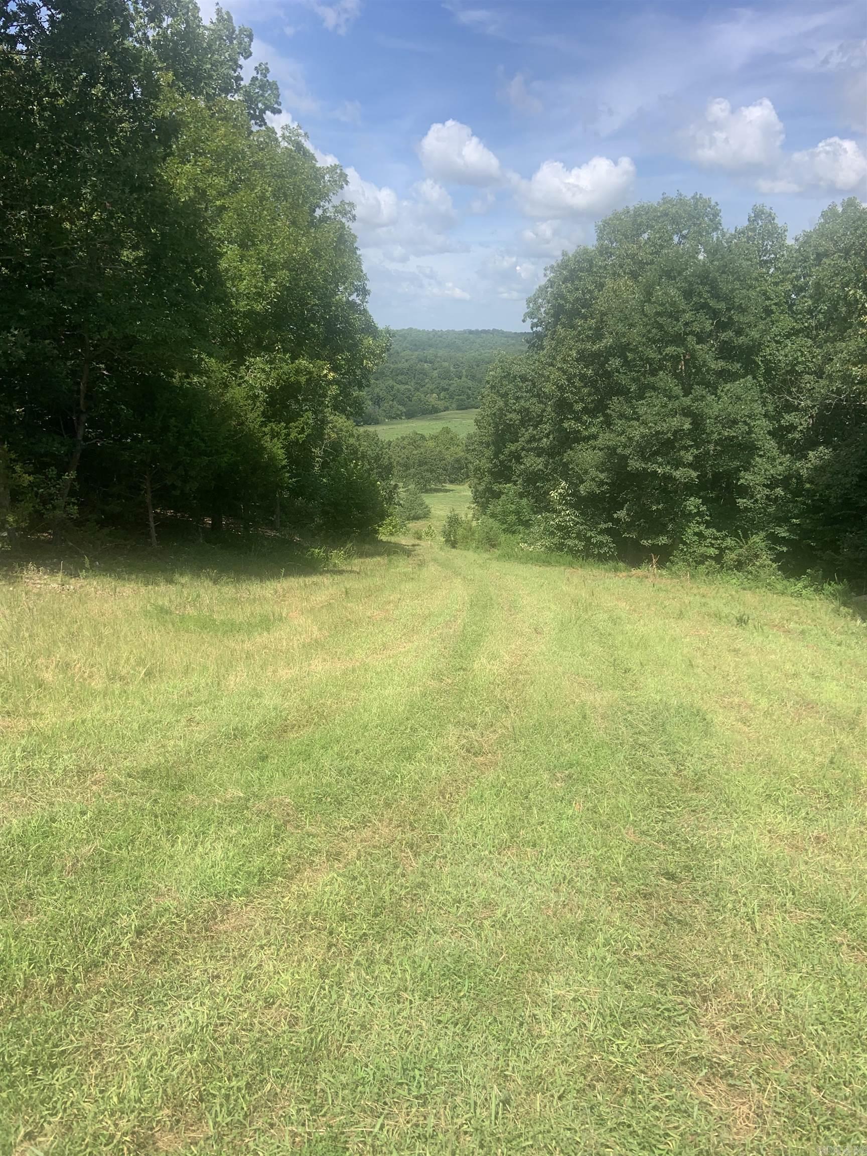 Photo 8 - Vacant Land for sale – TBD  Cedar Park   Viola, AR