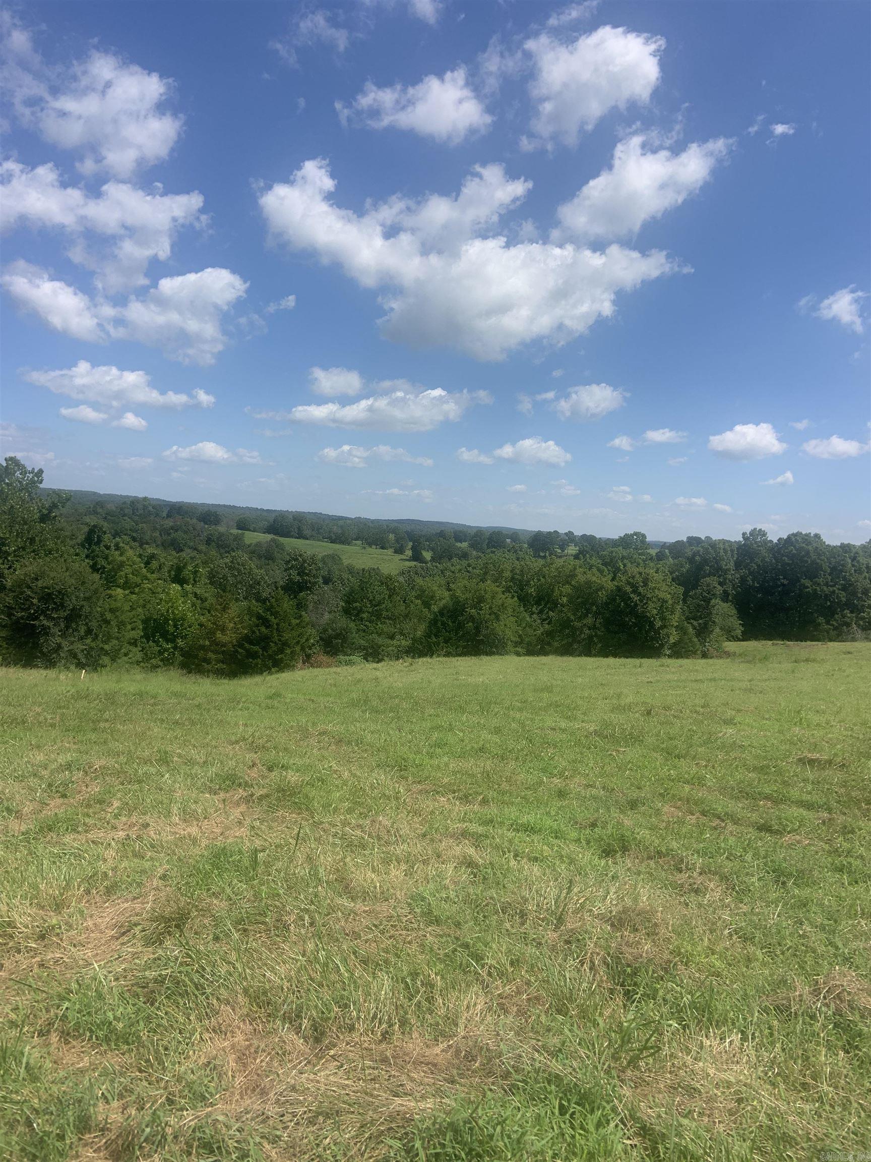Photo 9 - Vacant Land for sale – TBD  Cedar Park   Viola, AR