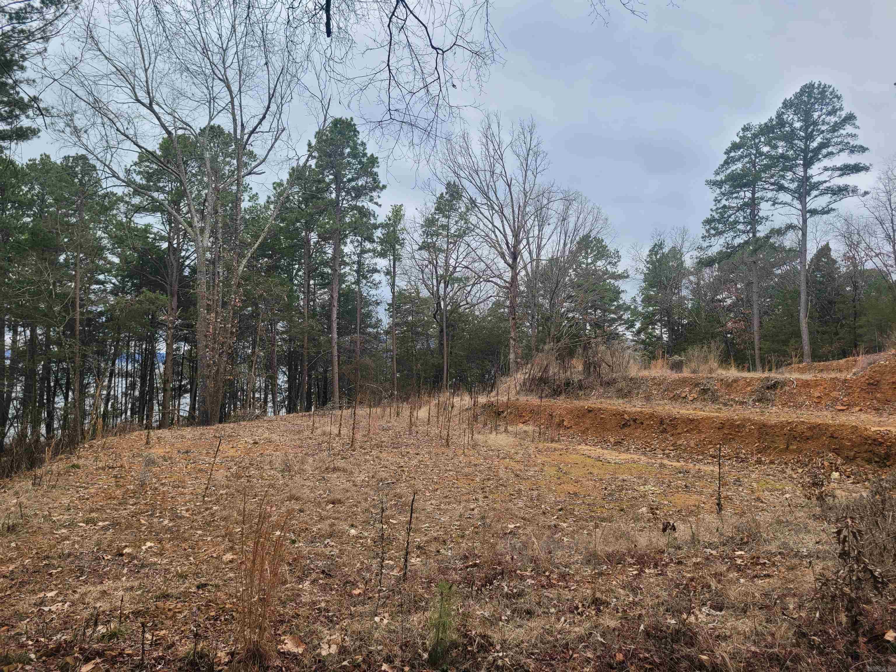 Farm/Ranch/Land for sale – 1631  Fox Chase   Greers Ferry, AR