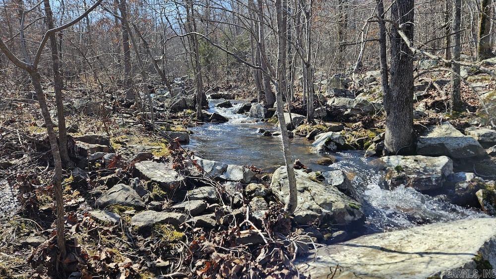 Photo 14 - Vacant Land for sale – G  Rocky Road   Bradford, AR