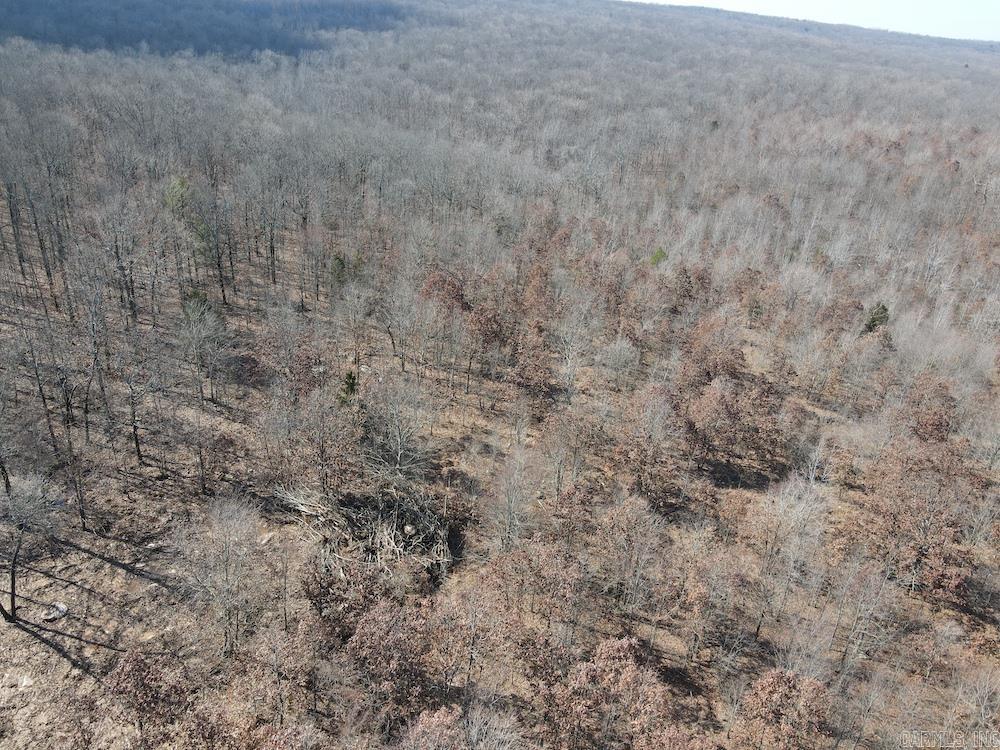 Photo 19 - Vacant Land for sale – G  Rocky Road   Bradford, AR