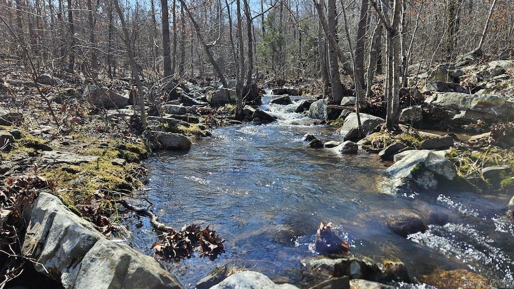 Photo 4 - Vacant Land for sale – G  Rocky Road   Bradford, AR