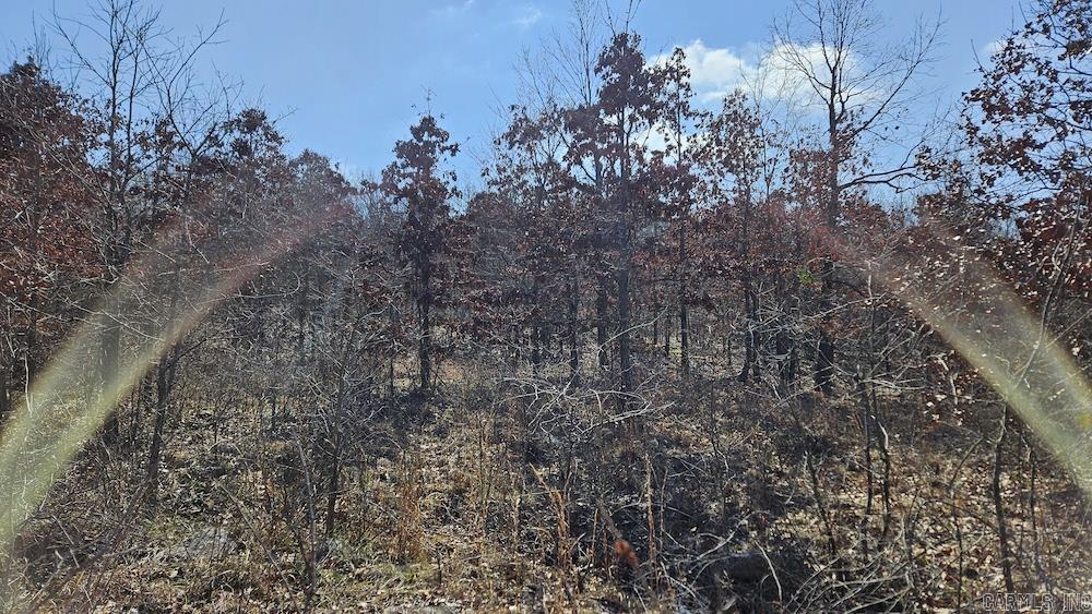 Photo 10 - Vacant Land for sale – G  Rocky Road   Bradford, AR