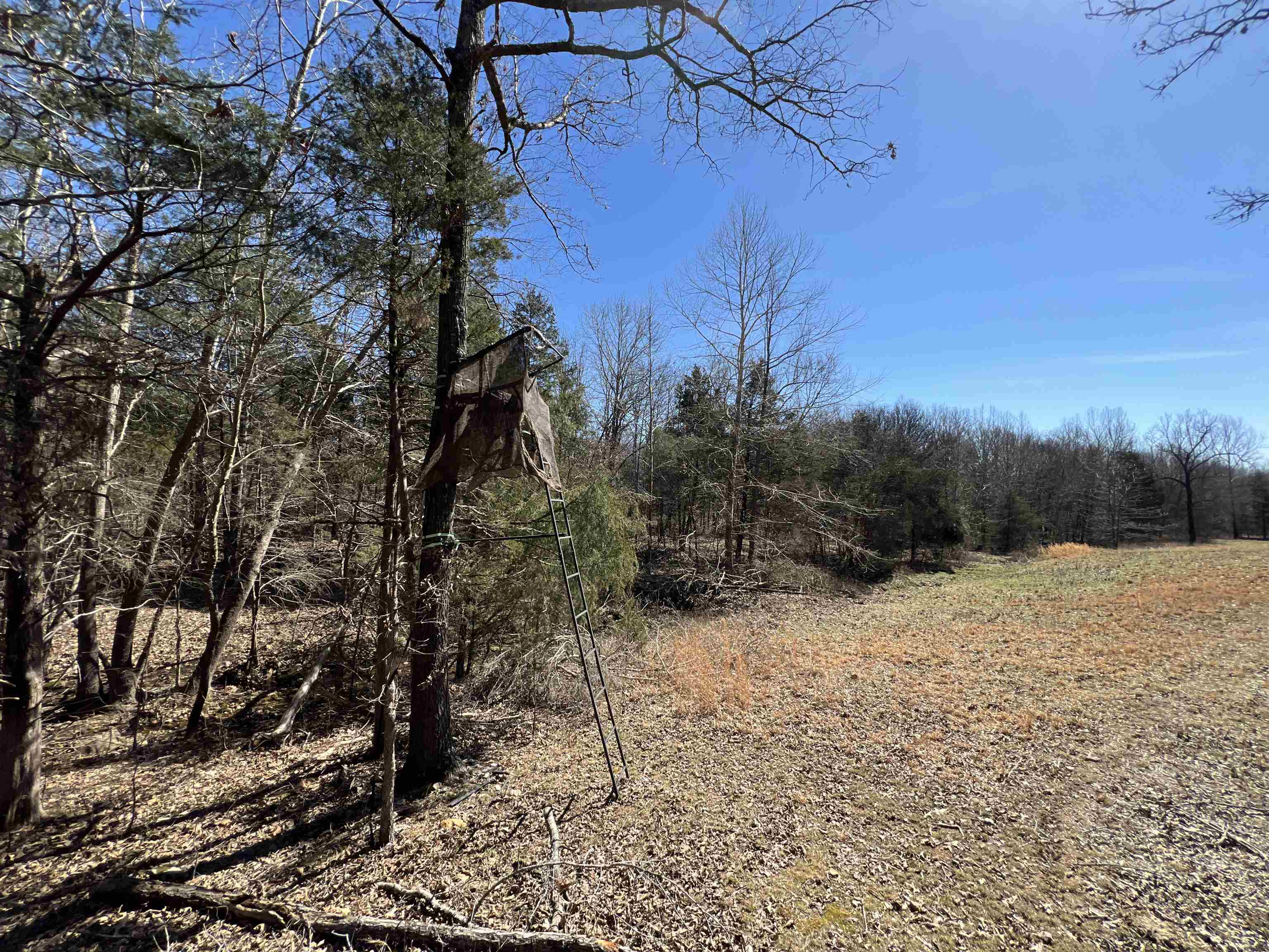 Photo 8 - Residential for sale – 5048  HWY 289 North   Ash Flat, AR