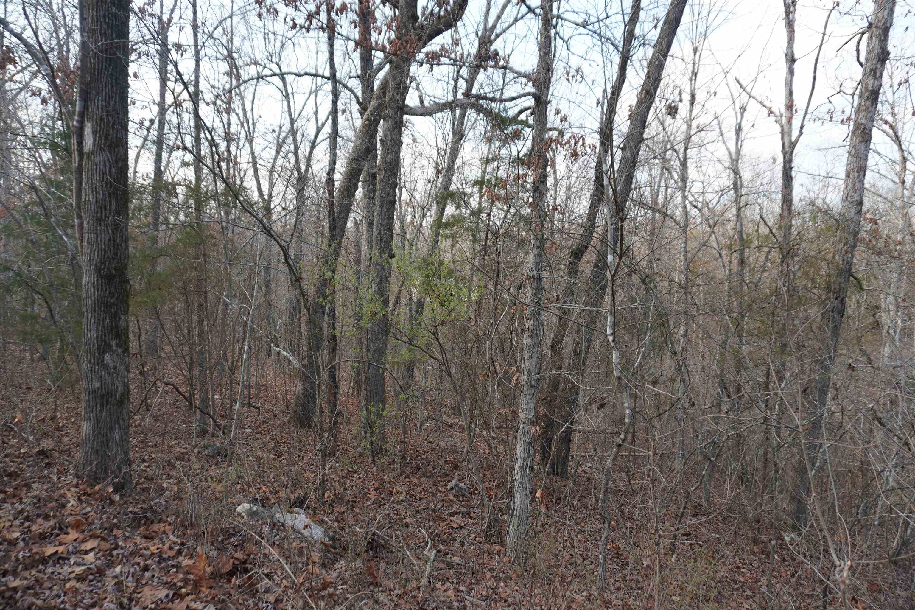 Photo 2 - Vacant Land for sale – 000  Algonquin   Cherokee Village, AR