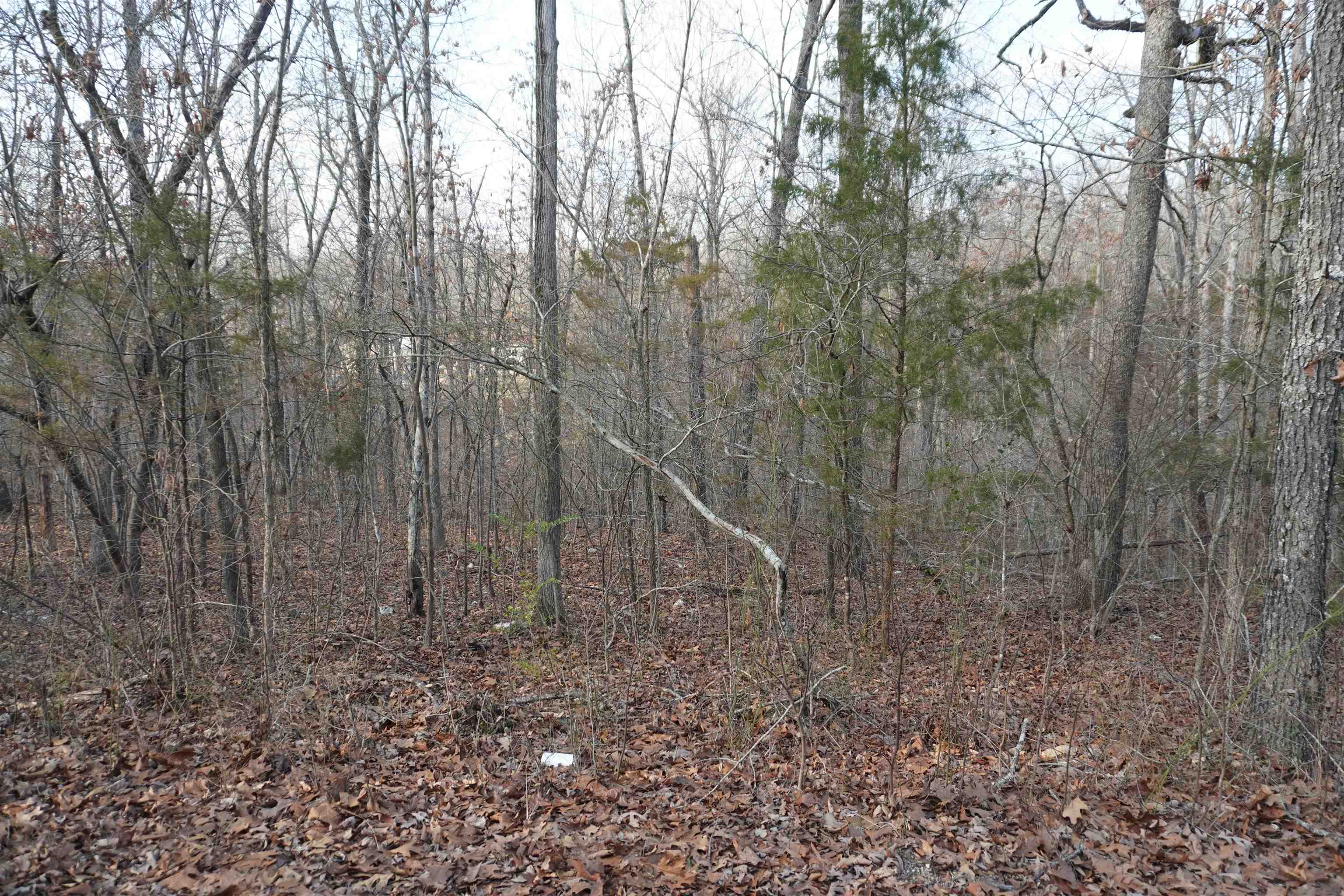 Photo 3 - Vacant Land for sale – 000  Algonquin   Cherokee Village, AR