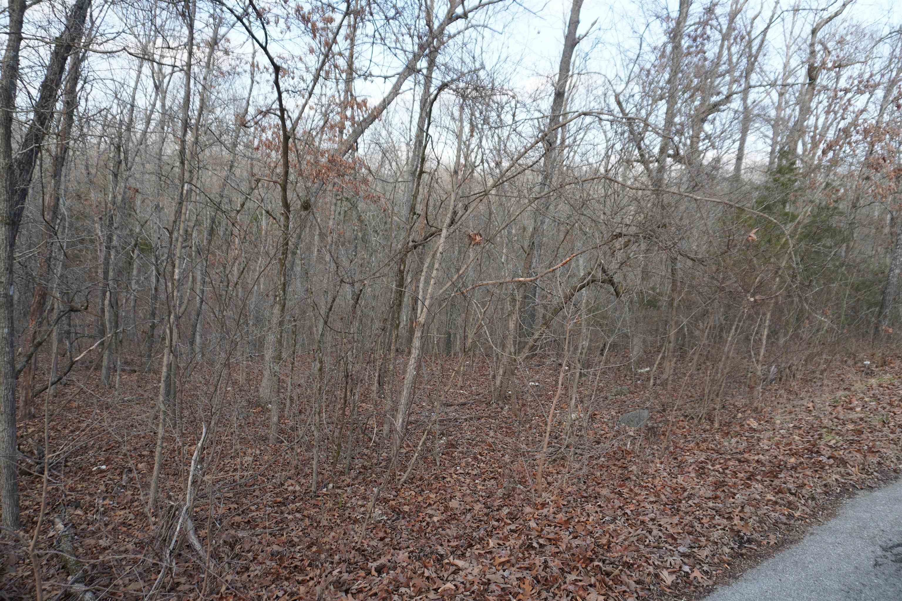 Photo 4 - Vacant Land for sale – 000  Algonquin   Cherokee Village, AR