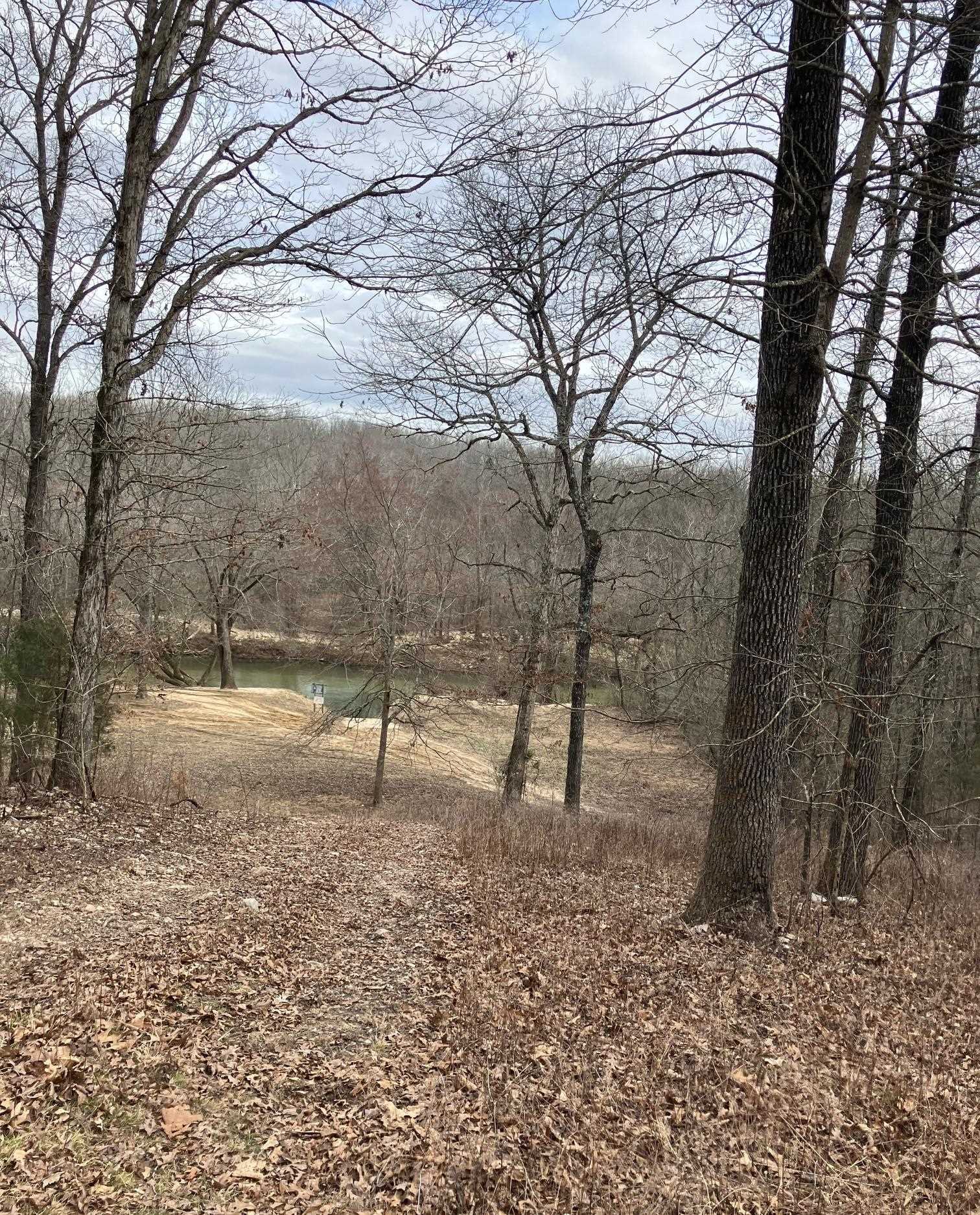 Photo 3 - Vacant Land for sale – TBD  Ridgeline Road   Evening Shade, AR