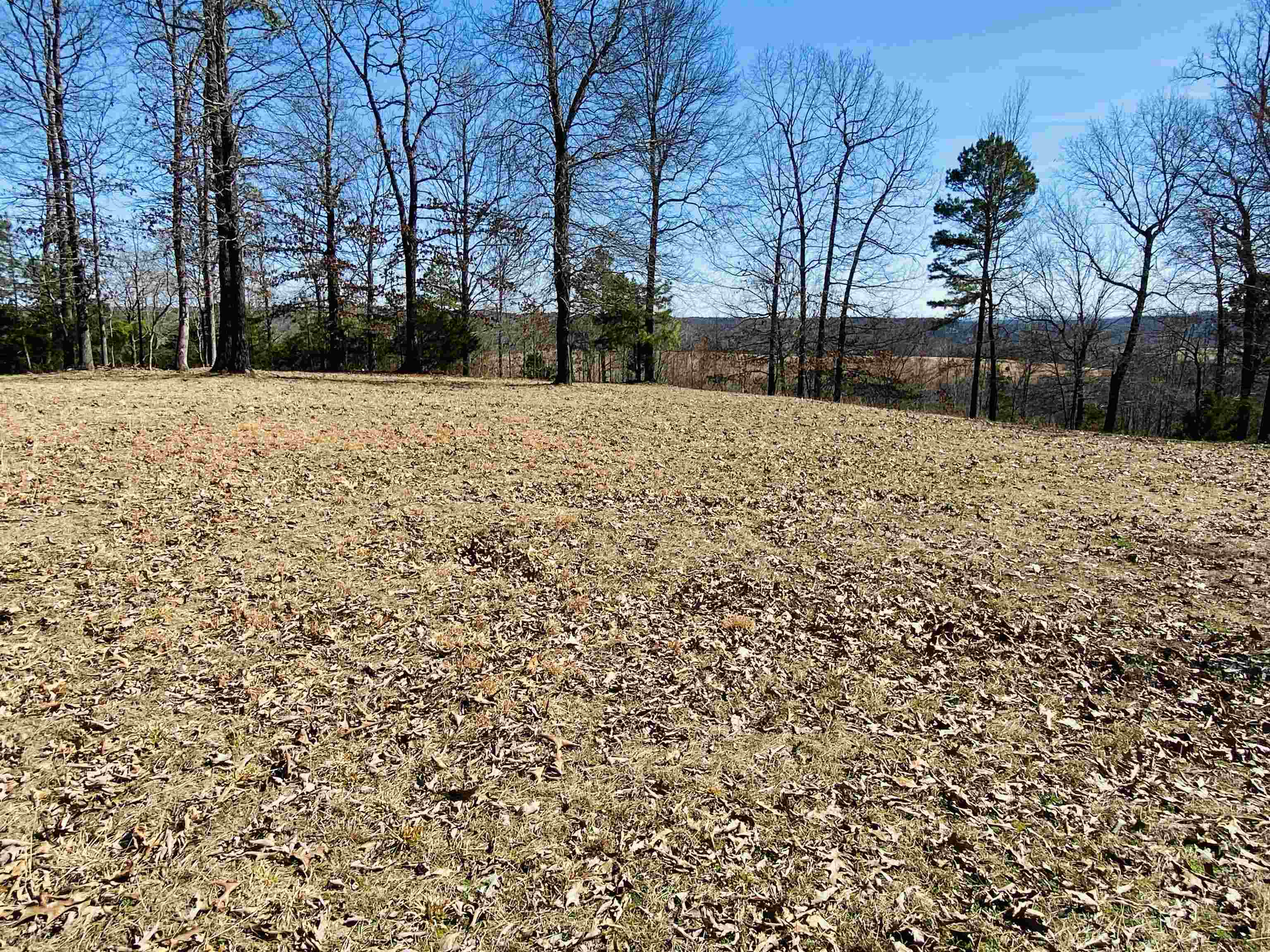 Photo 2 - Vacant Land for sale – Lots 6,7,8  River Bend Ridge   Calico Rock, AR