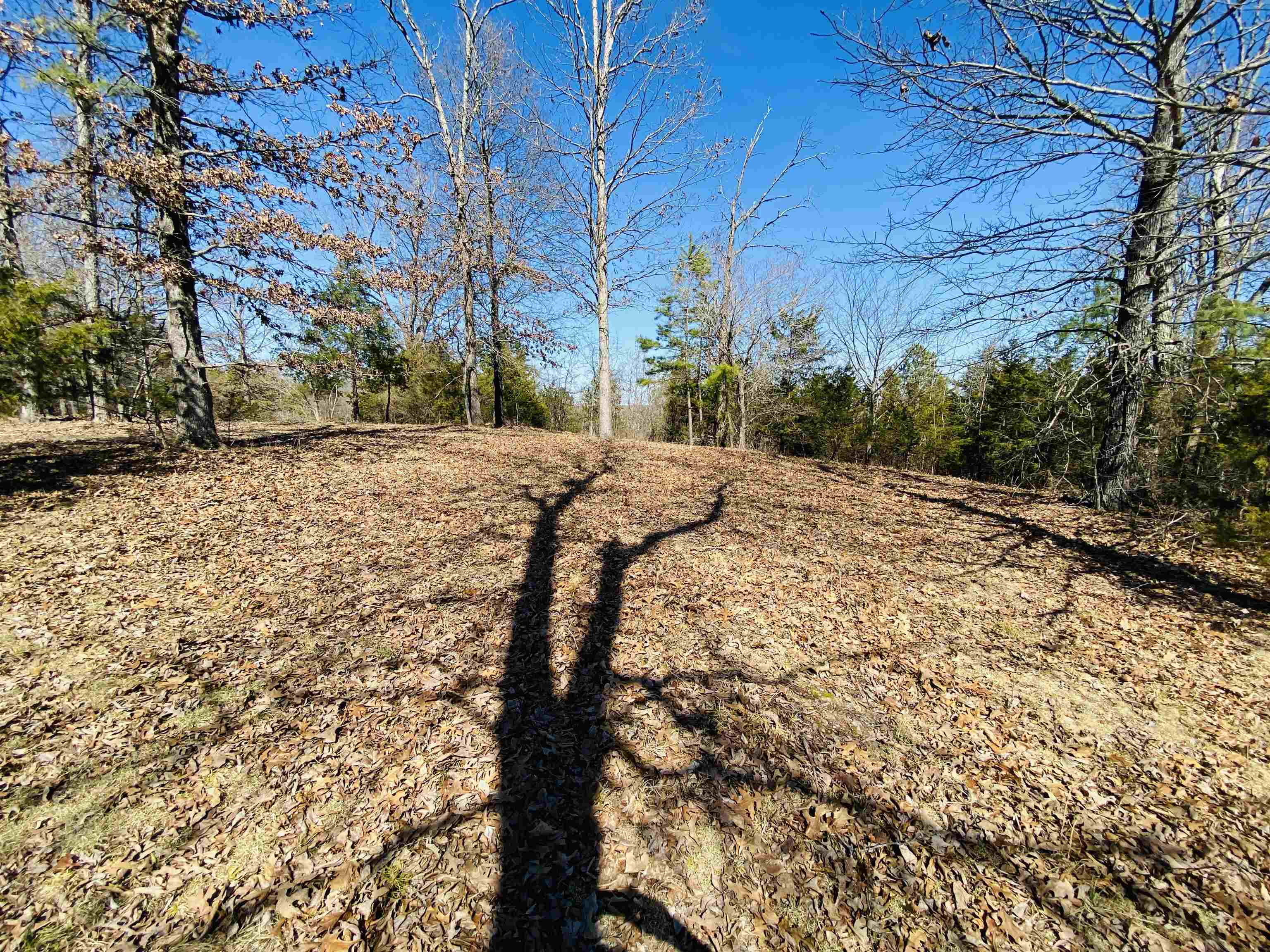 Photo 3 - Vacant Land for sale – Lots 6,7,8  River Bend Ridge   Calico Rock, AR