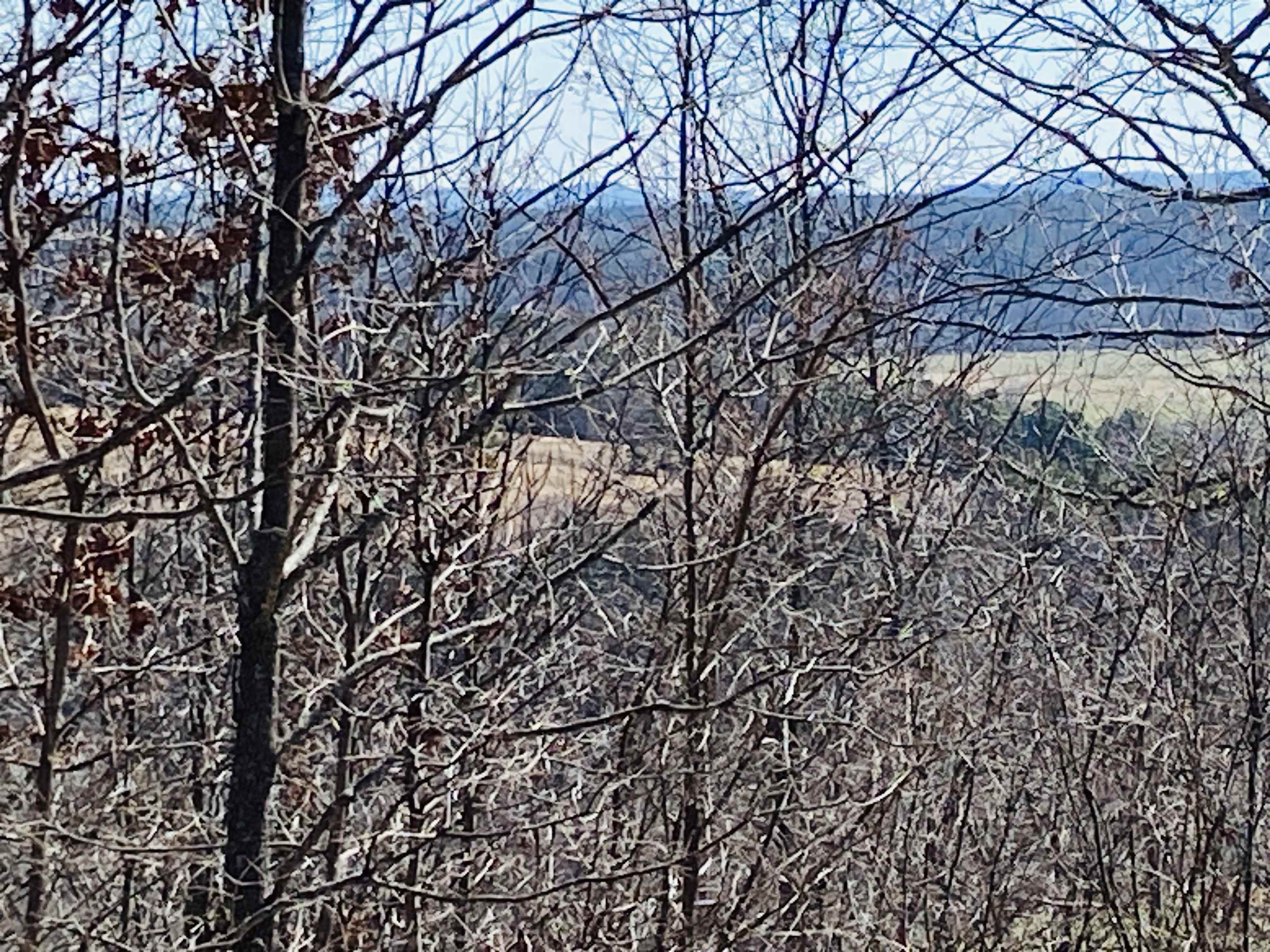 Photo 5 - Vacant Land for sale – Lots 6,7,8  River Bend Ridge   Calico Rock, AR