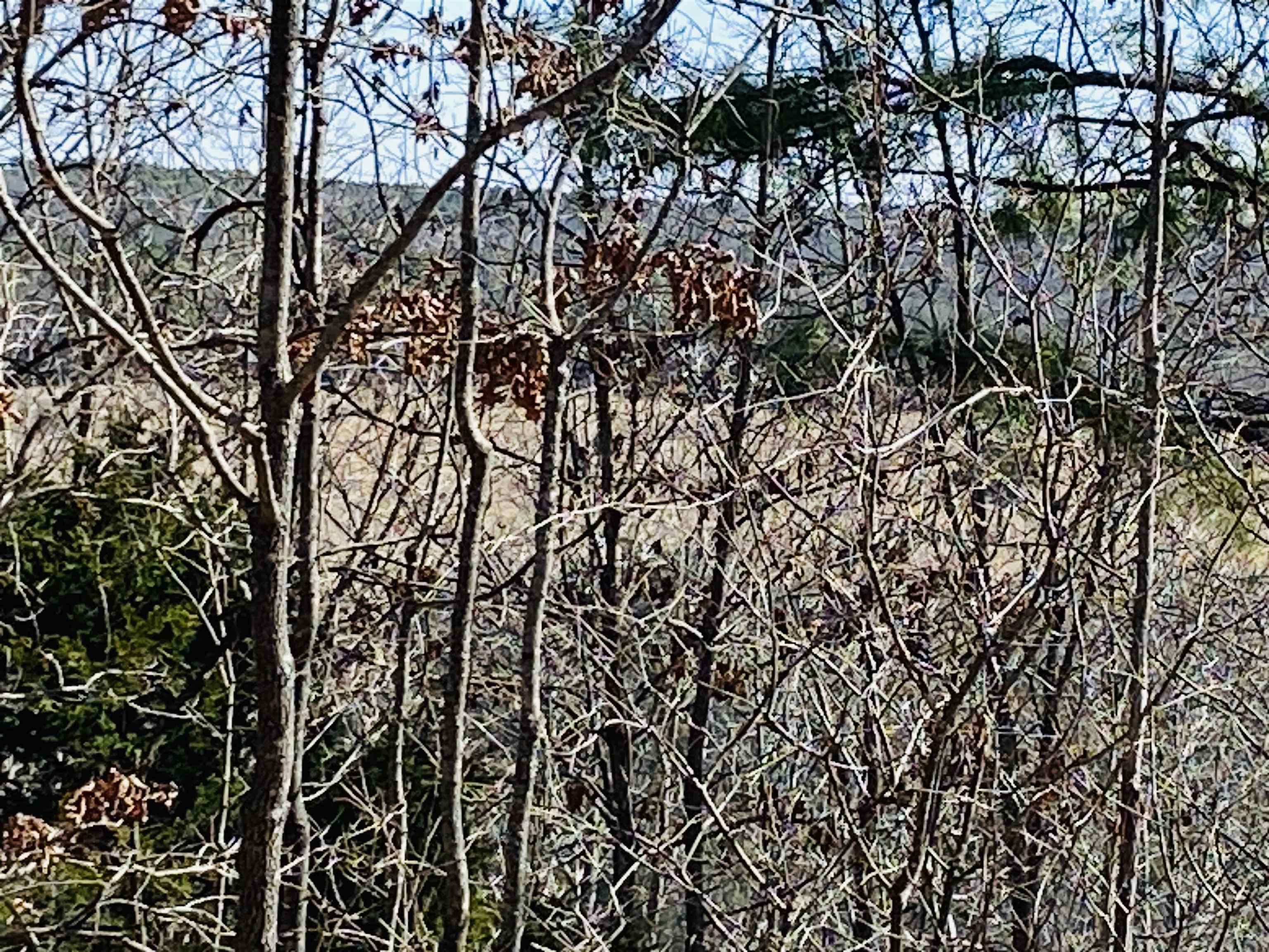 Photo 6 - Vacant Land for sale – Lots 6,7,8  River Bend Ridge   Calico Rock, AR