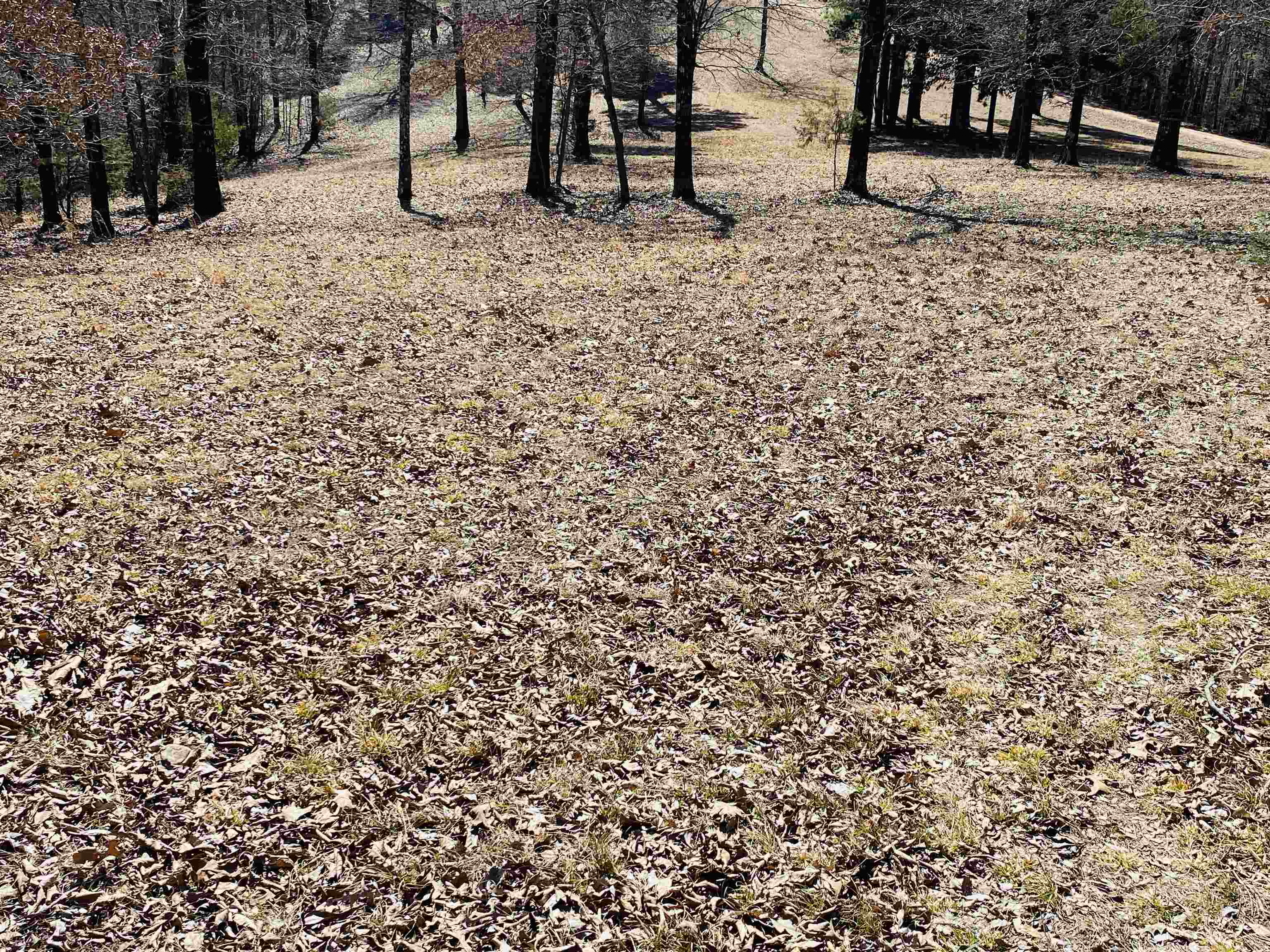 Photo 7 - Vacant Land for sale – Lots 6,7,8  River Bend Ridge   Calico Rock, AR