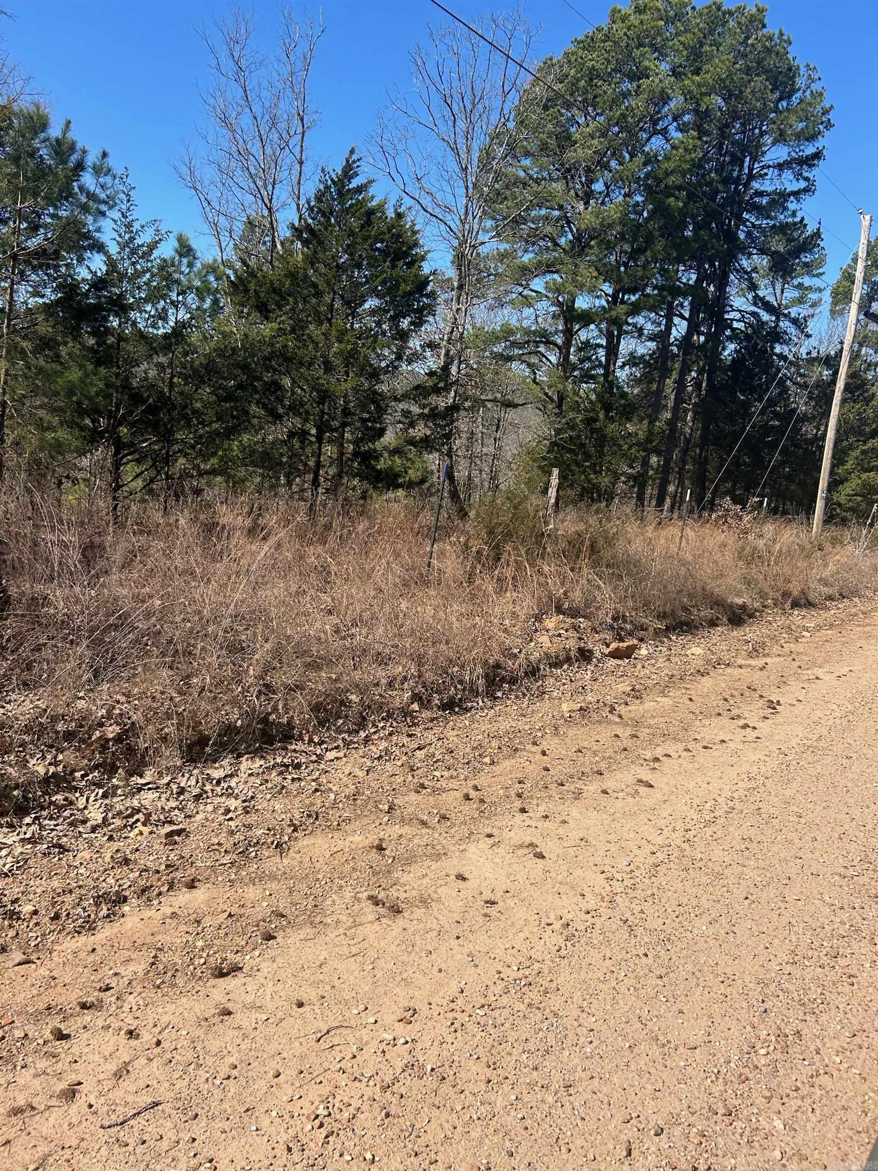 Photo 11 - Vacant Land for sale –   Union Hill Rd   Pleasant Plains, AR