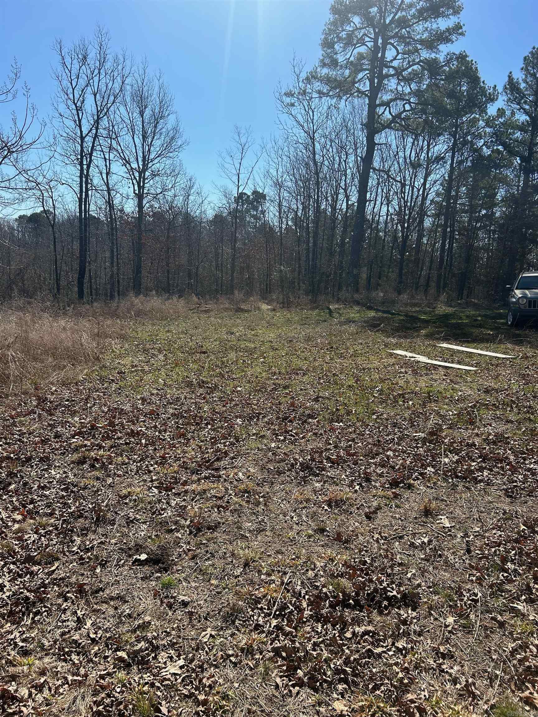 Photo 4 - Vacant Land for sale –   Union Hill Rd   Pleasant Plains, AR