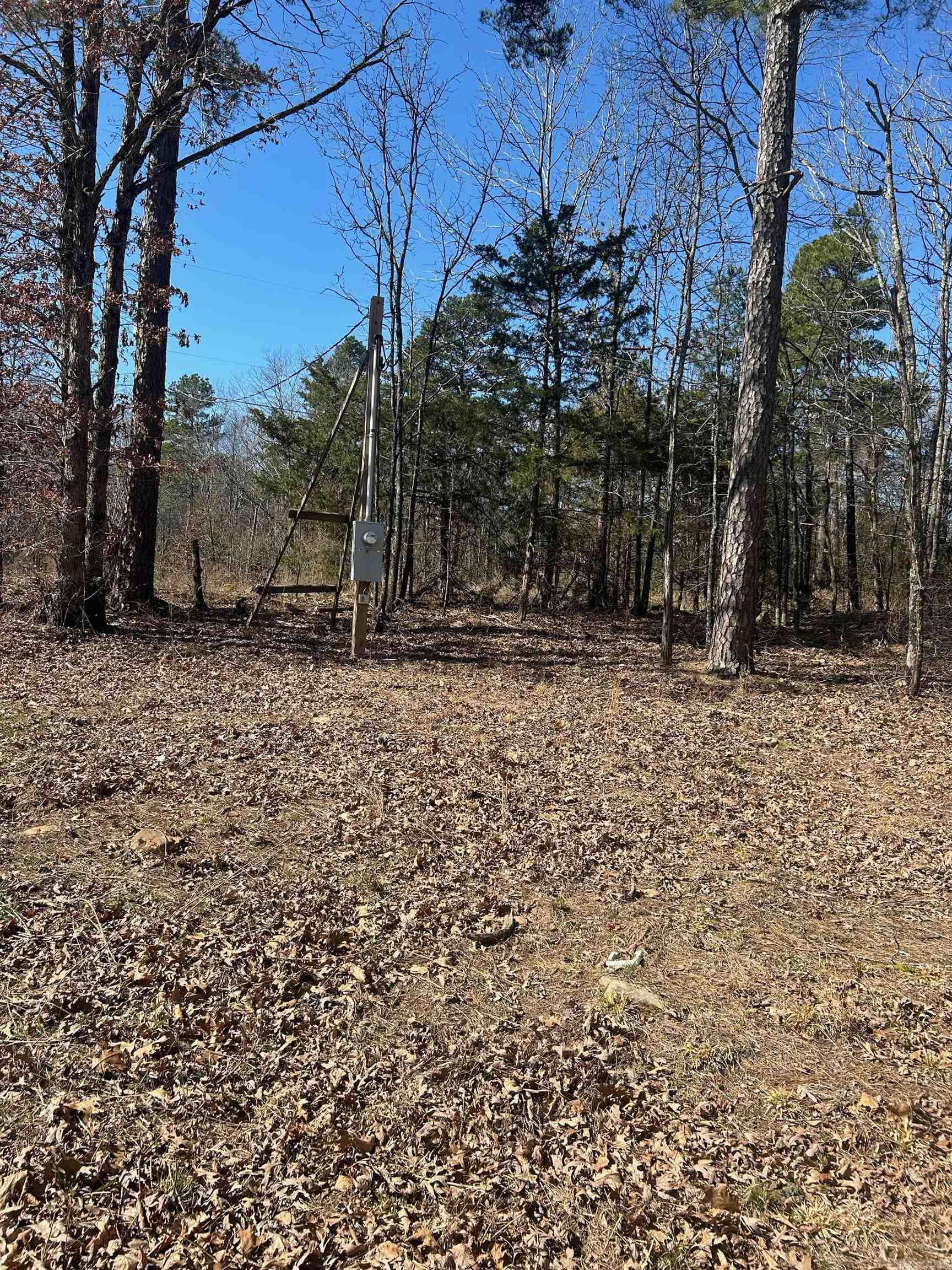 Photo 5 - Vacant Land for sale –   Union Hill Rd   Pleasant Plains, AR