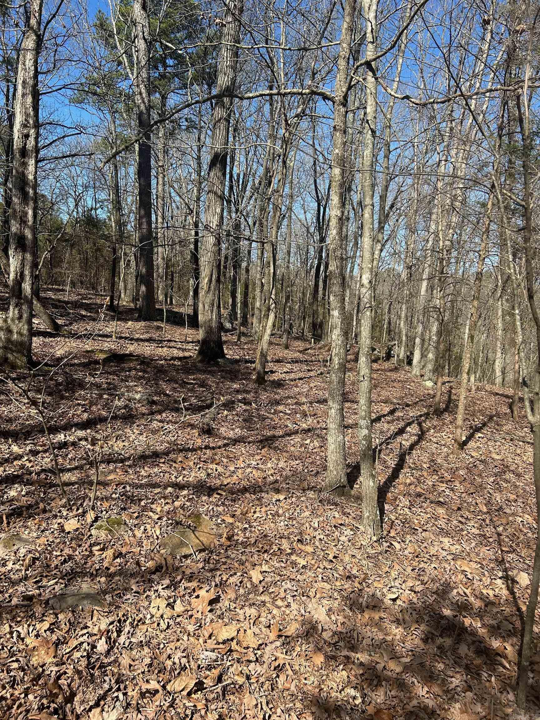 Photo 7 - Vacant Land for sale –   Union Hill Rd   Pleasant Plains, AR