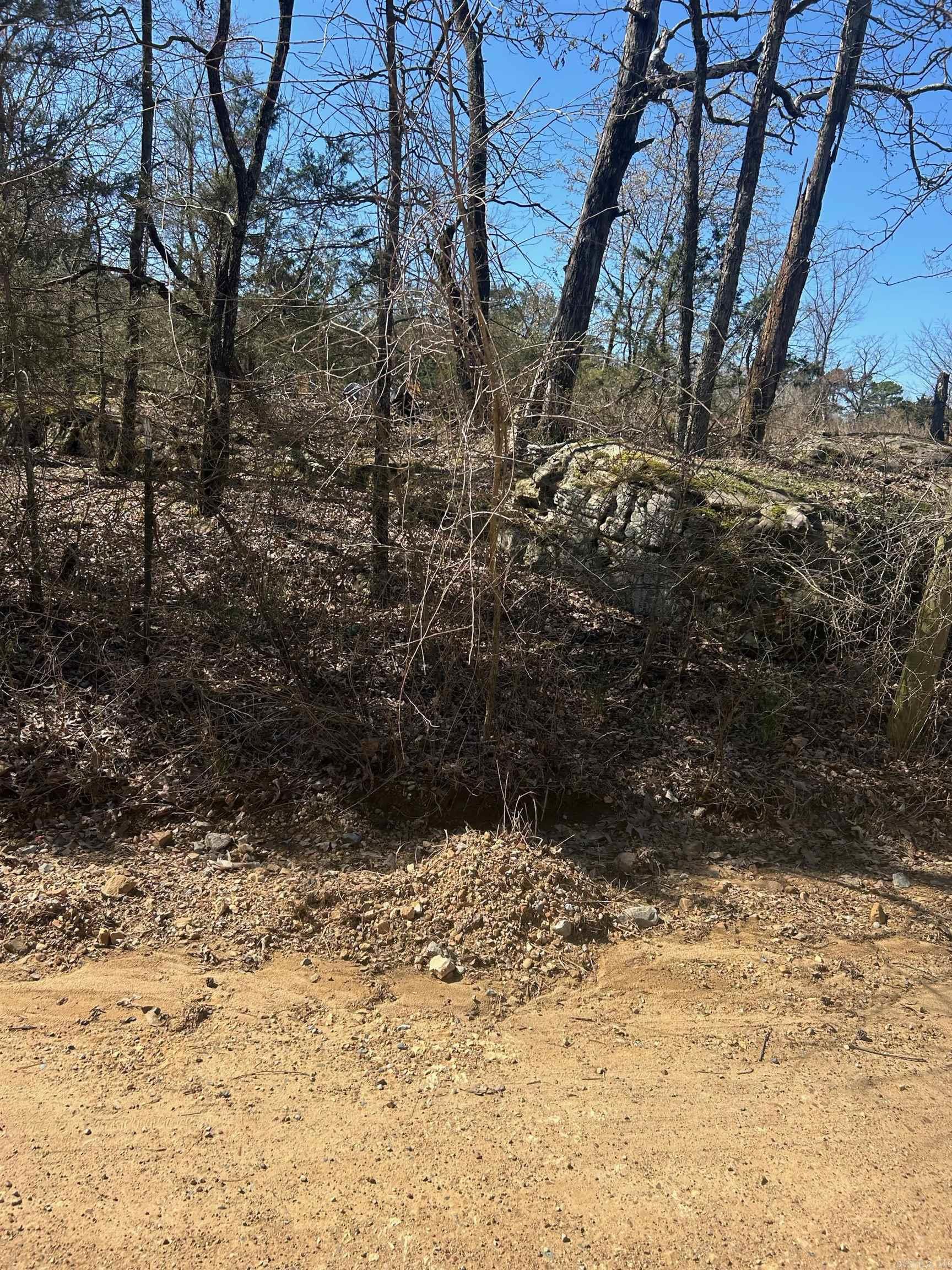 Photo 8 - Vacant Land for sale –   Union Hill Rd   Pleasant Plains, AR