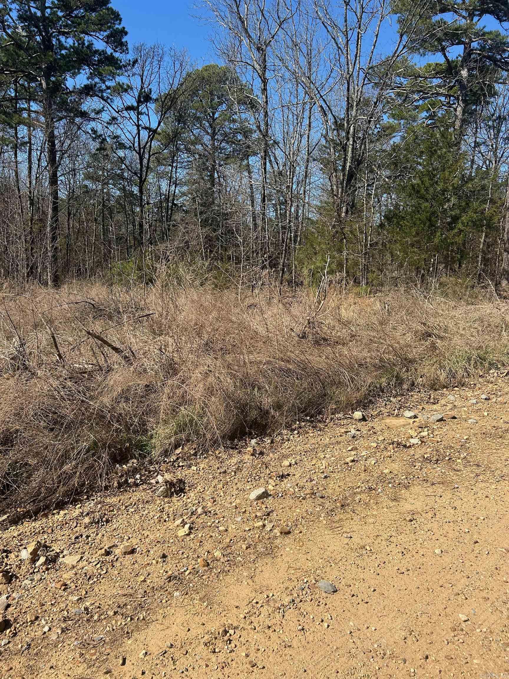 Photo 9 - Vacant Land for sale –   Union Hill Rd   Pleasant Plains, AR