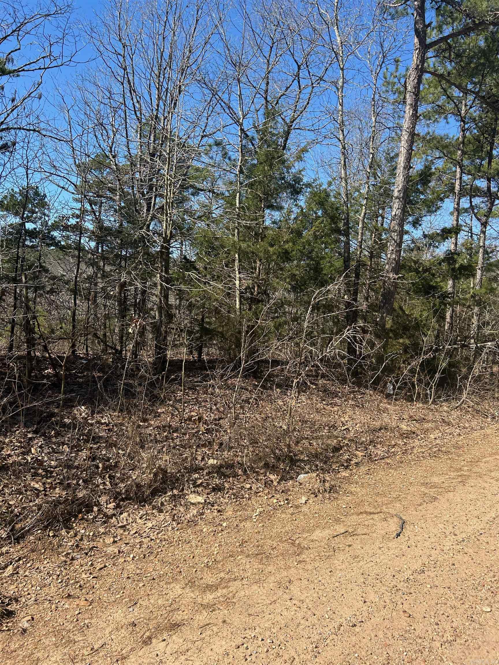 Photo 10 - Vacant Land for sale –   Union Hill Rd   Pleasant Plains, AR