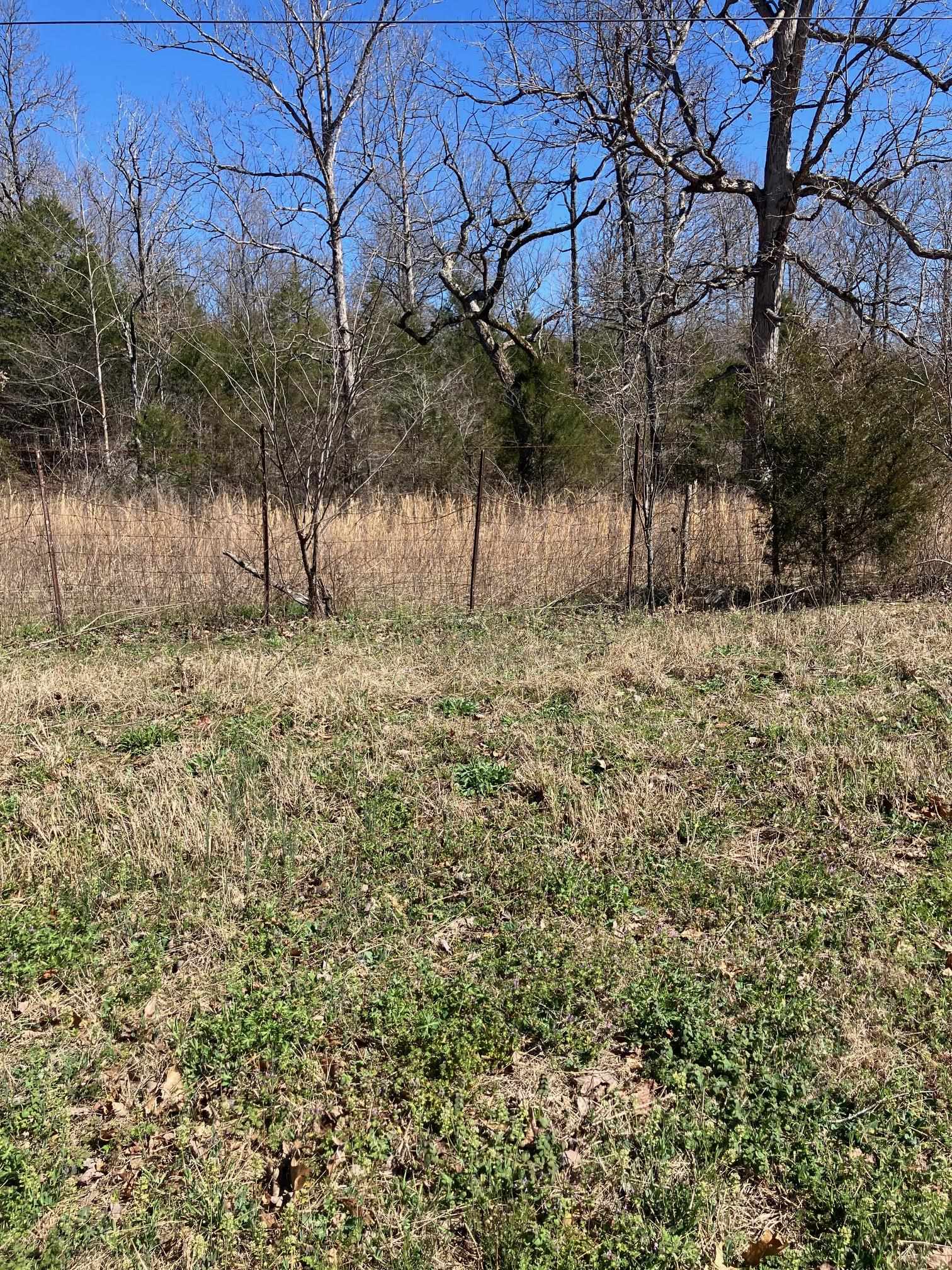 Photo 4 - Vacant Land for sale – TBD  Hwy 63 E   Williford, AR