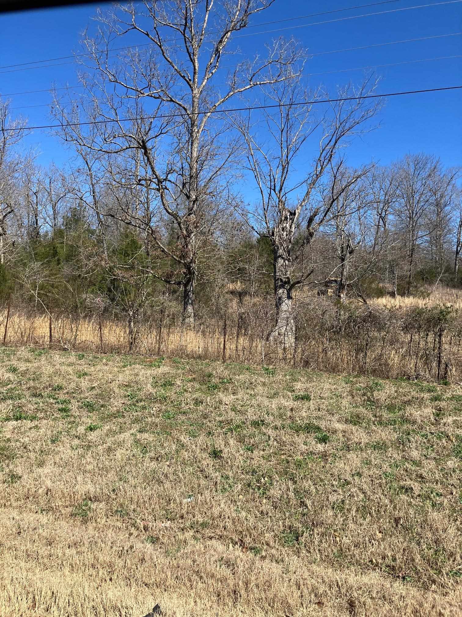 Photo 5 - Vacant Land for sale – TBD  Hwy 63 E   Williford, AR
