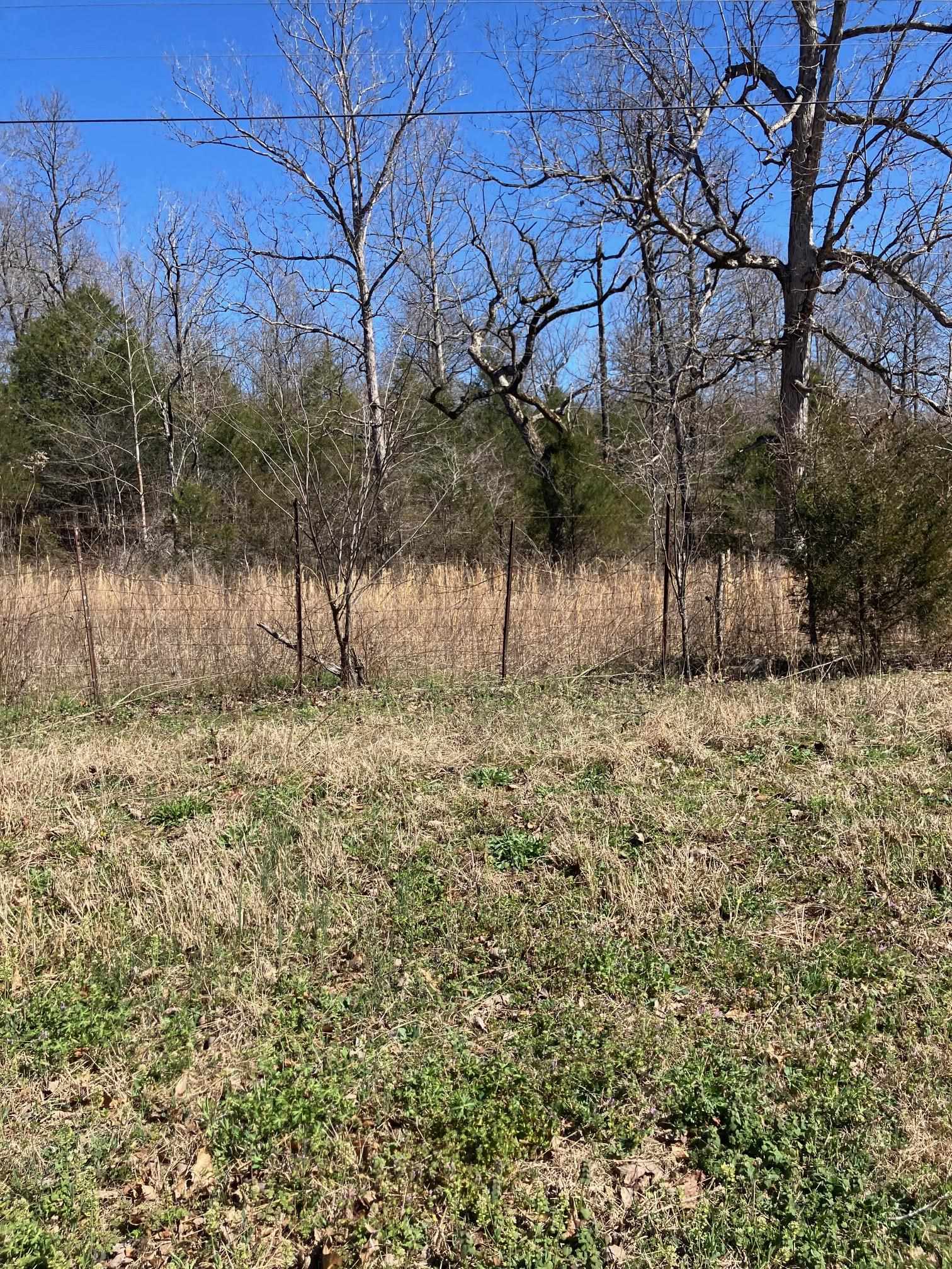 Photo 6 - Vacant Land for sale – TBD  Hwy 63 E   Williford, AR